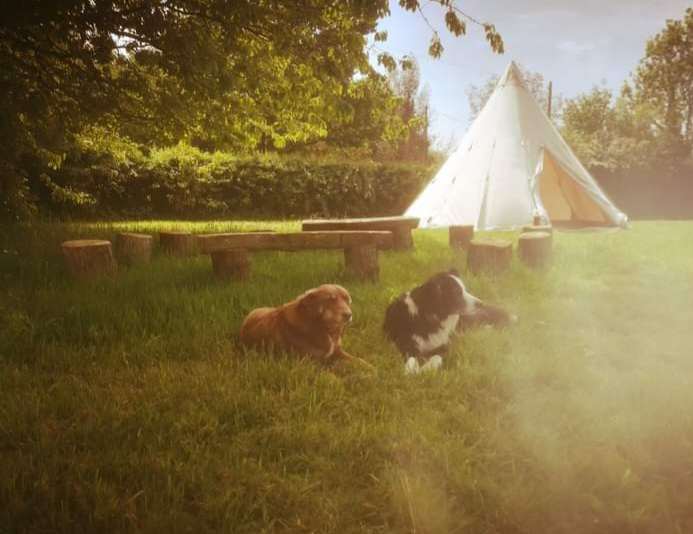 Glamping Options
