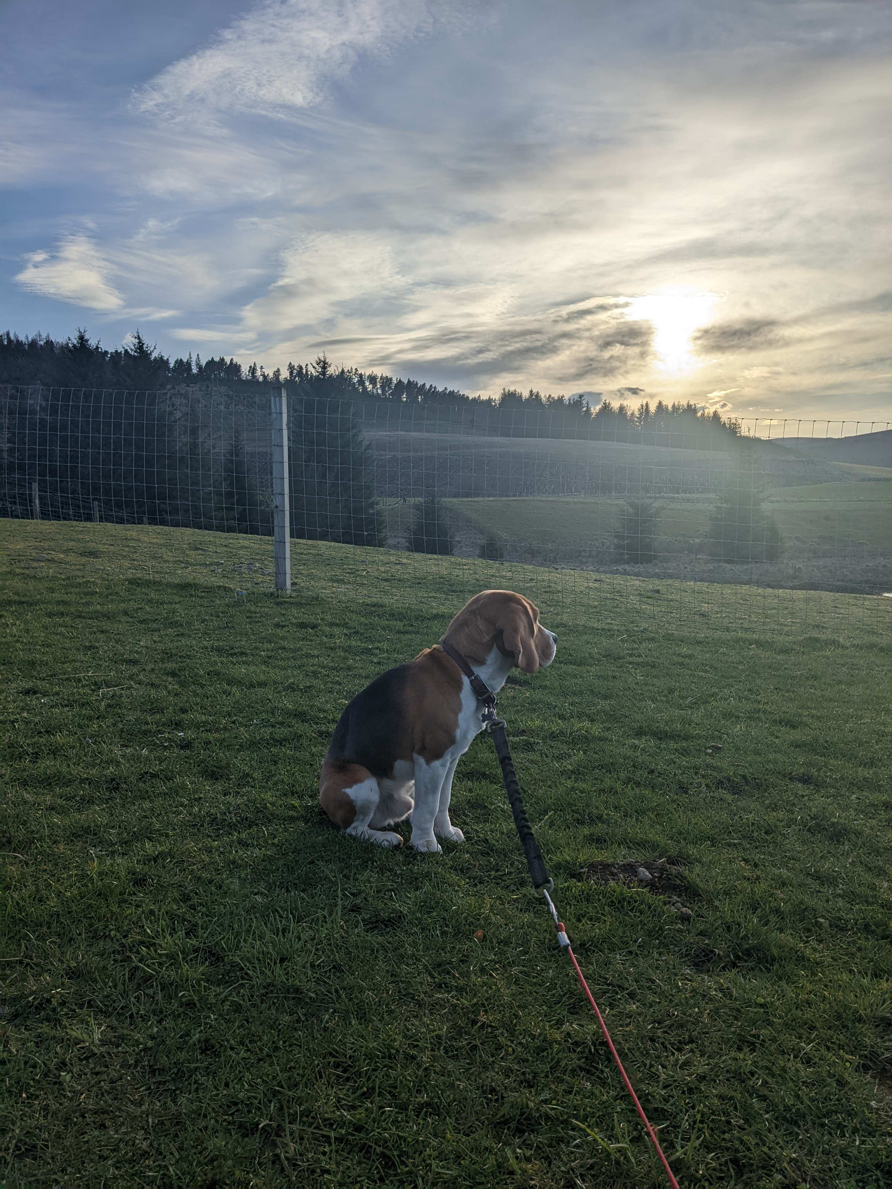 Cairngorms Glamping and Campsite