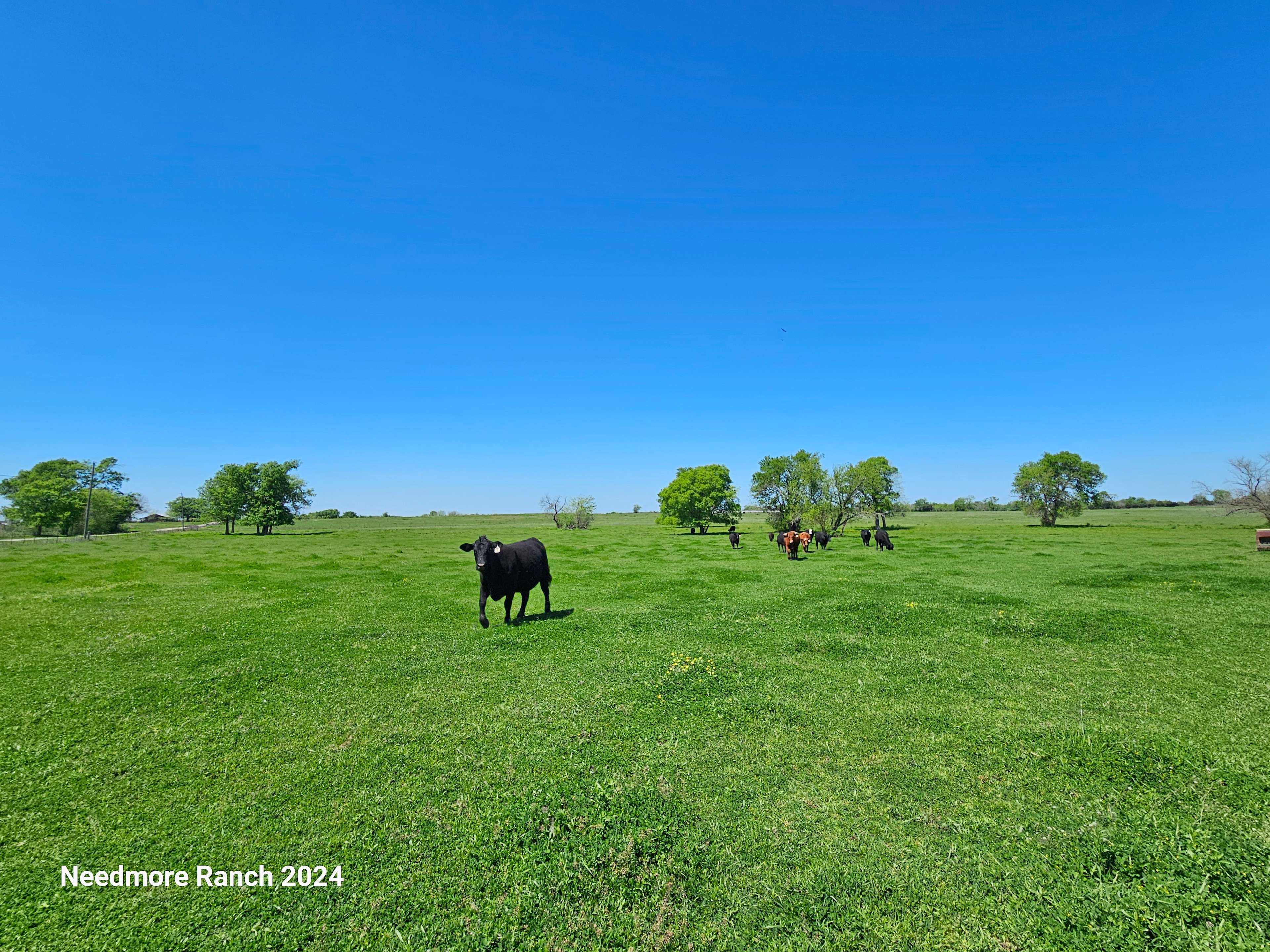 Needmore Ranch