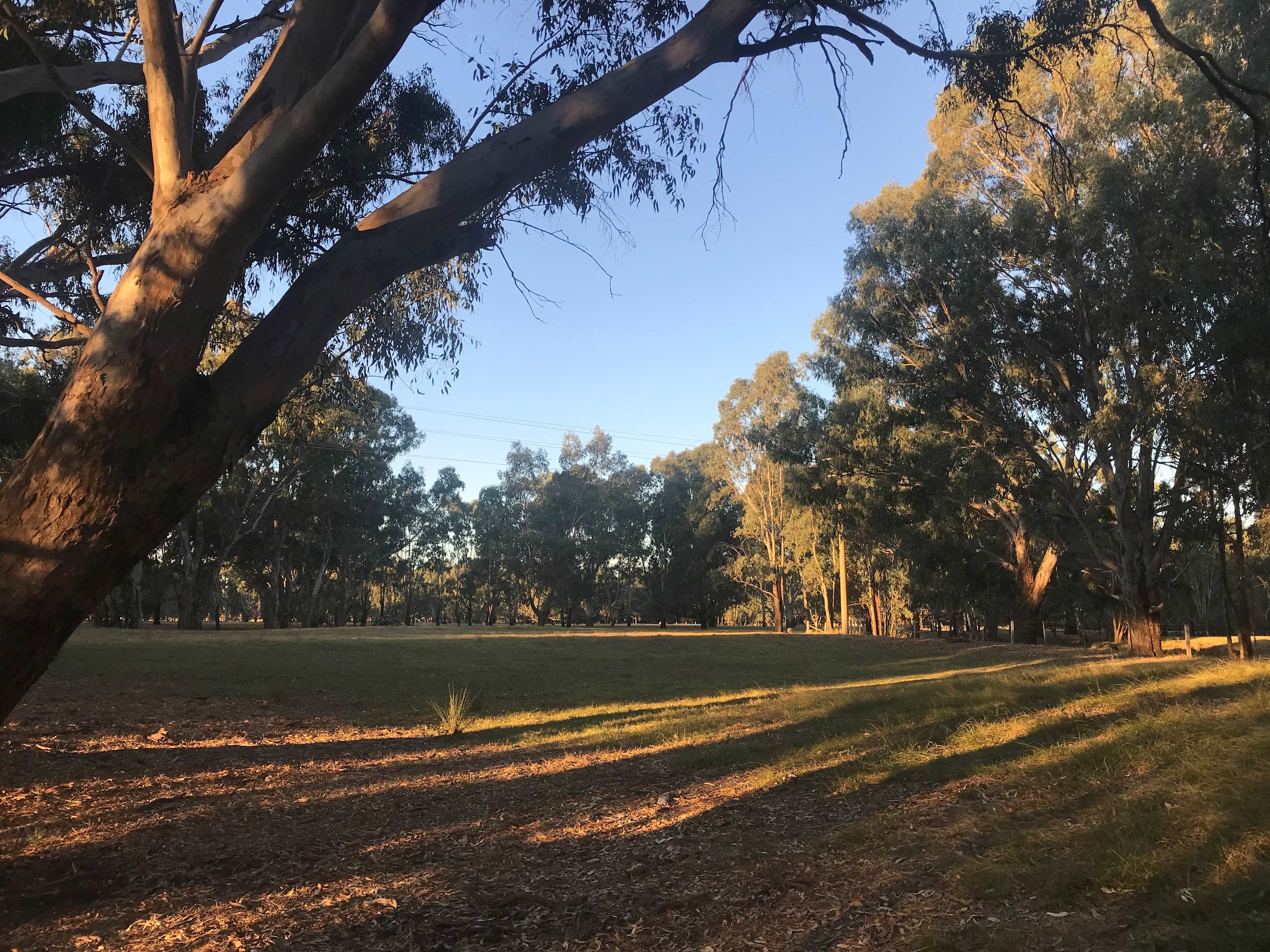 Billabong Flats Farm