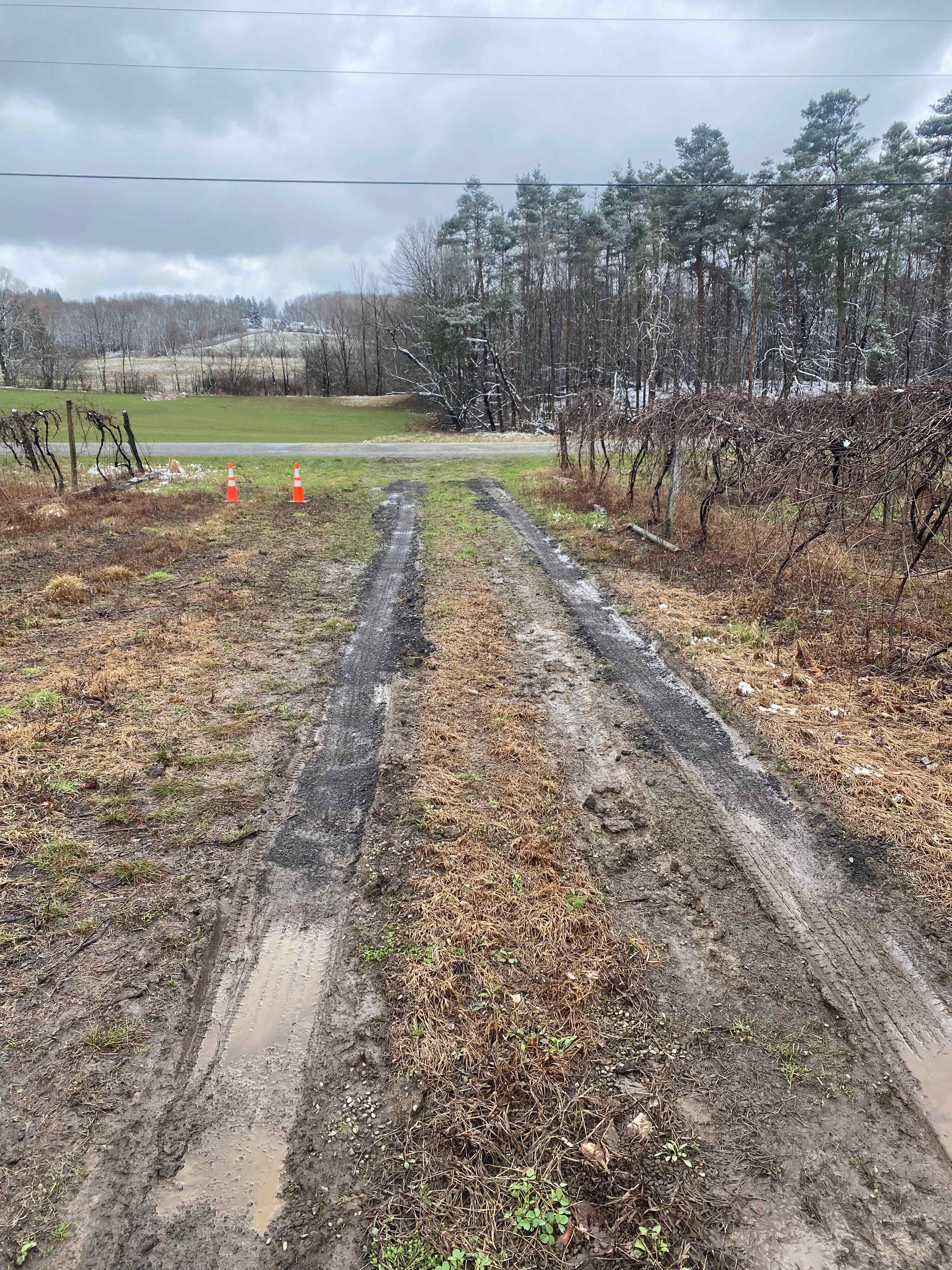 Spring 2024 brought a significant amount of rain. This was April’24
