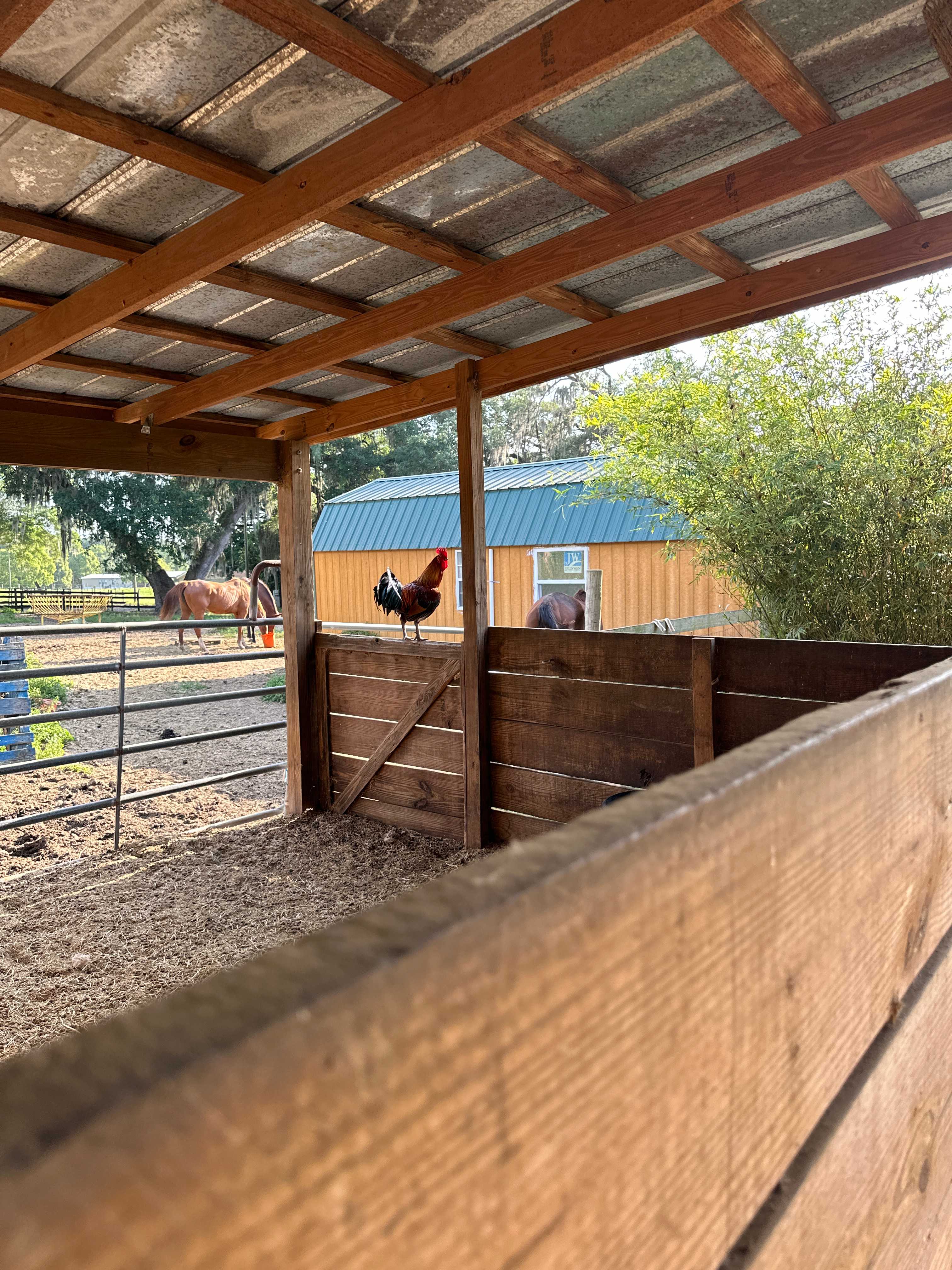 Gulf Winds Wildlife Sanctuary