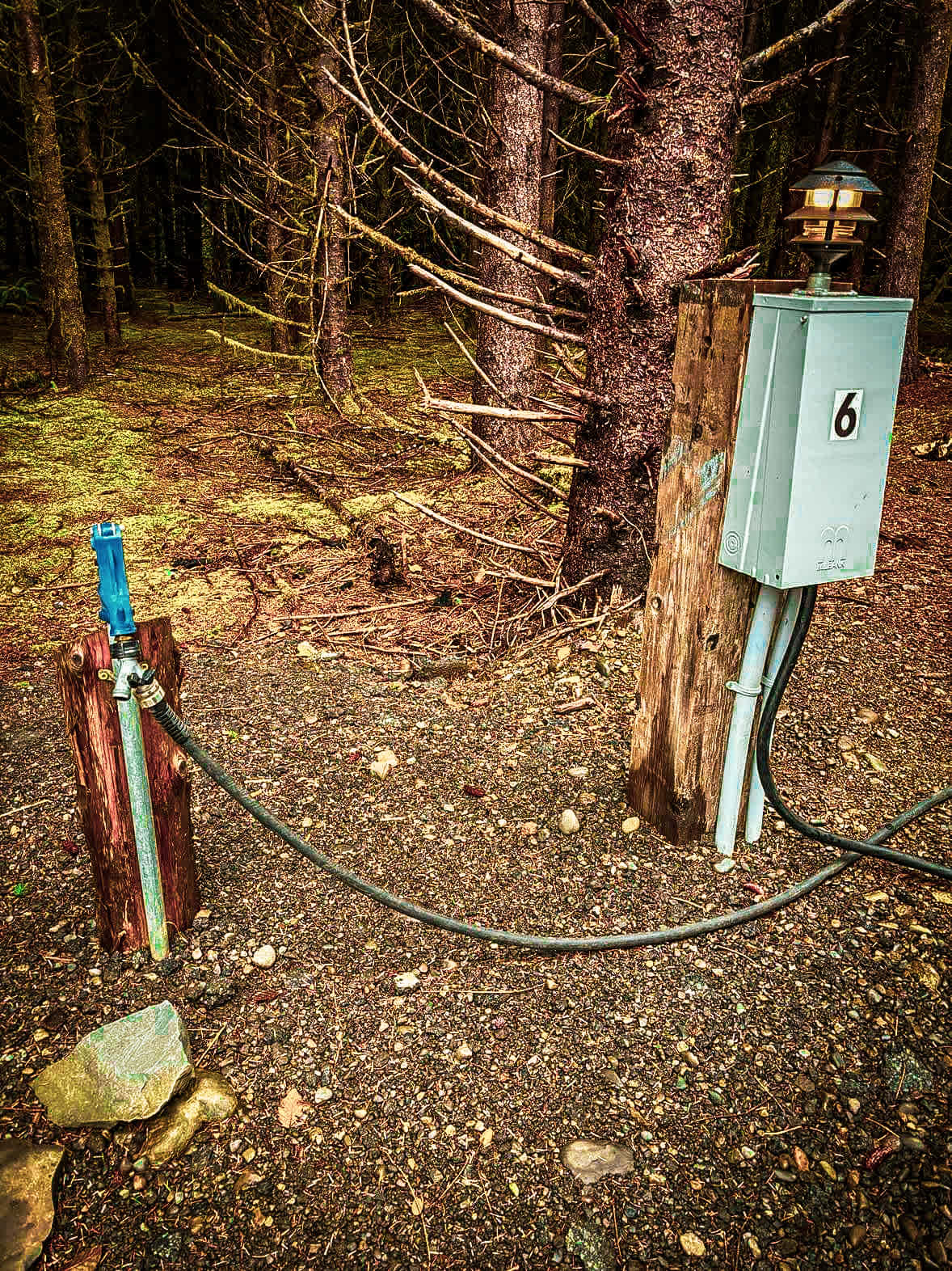 Picture of the site
