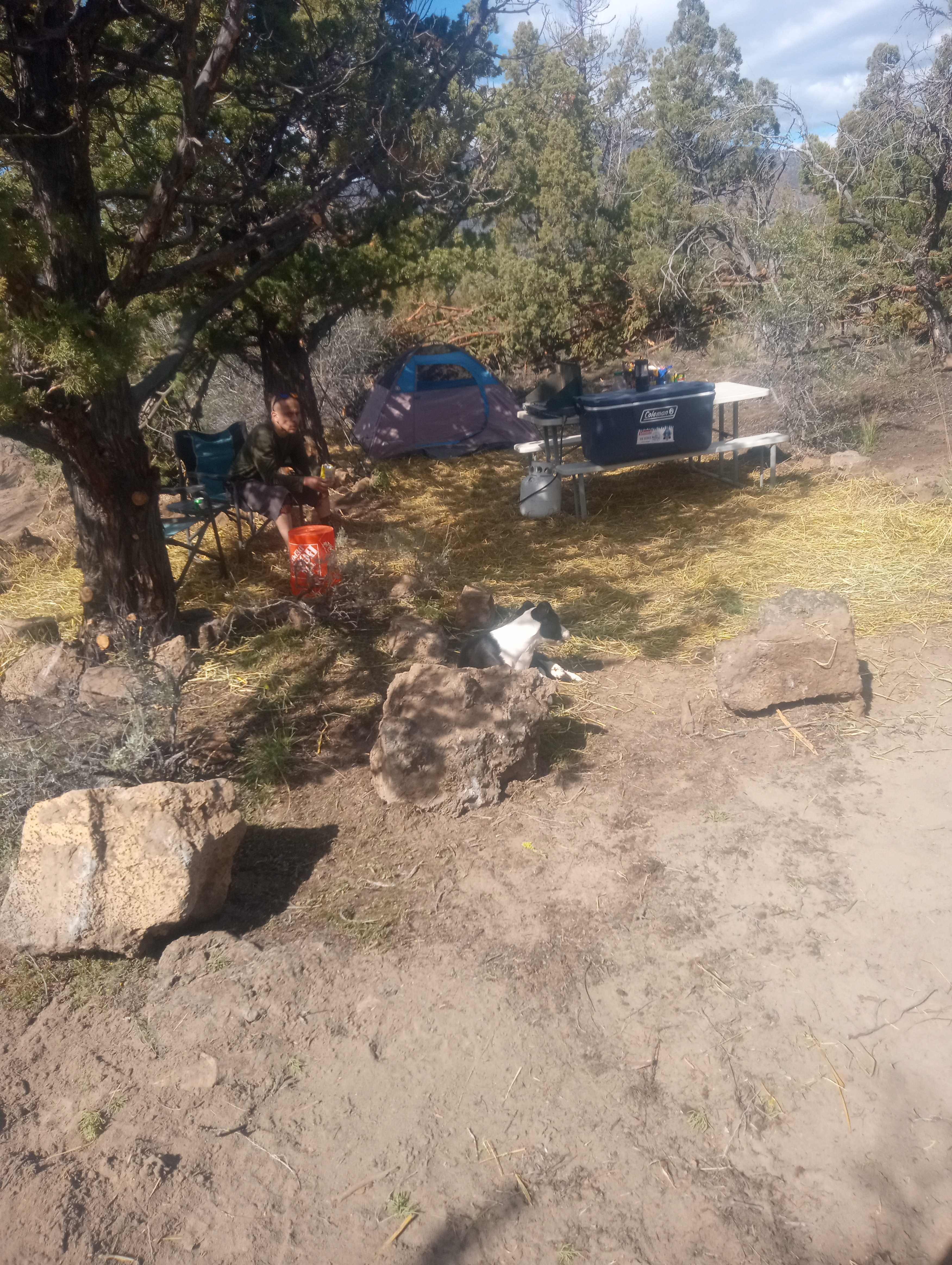 Picture of the site