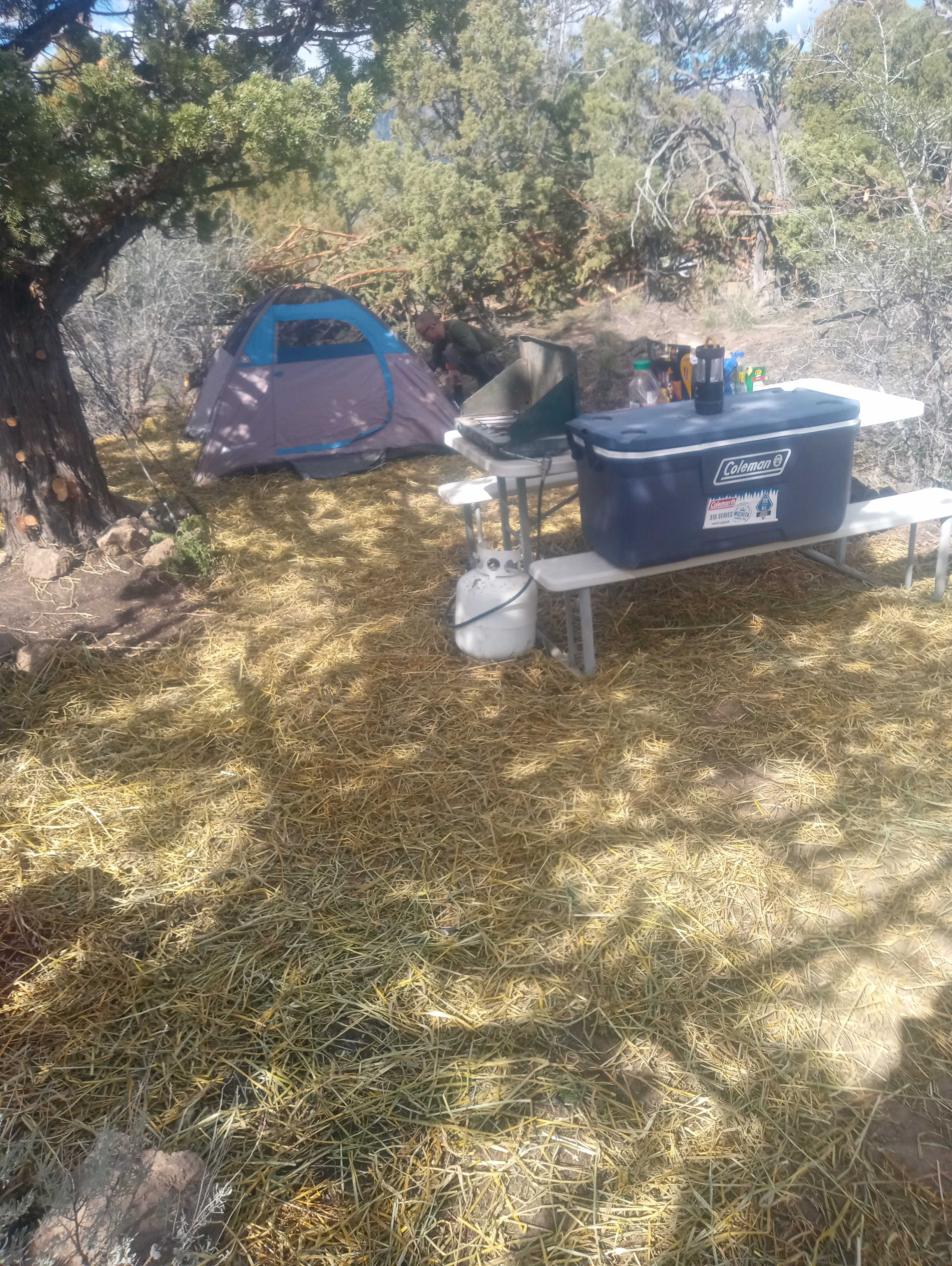 Picture of the site