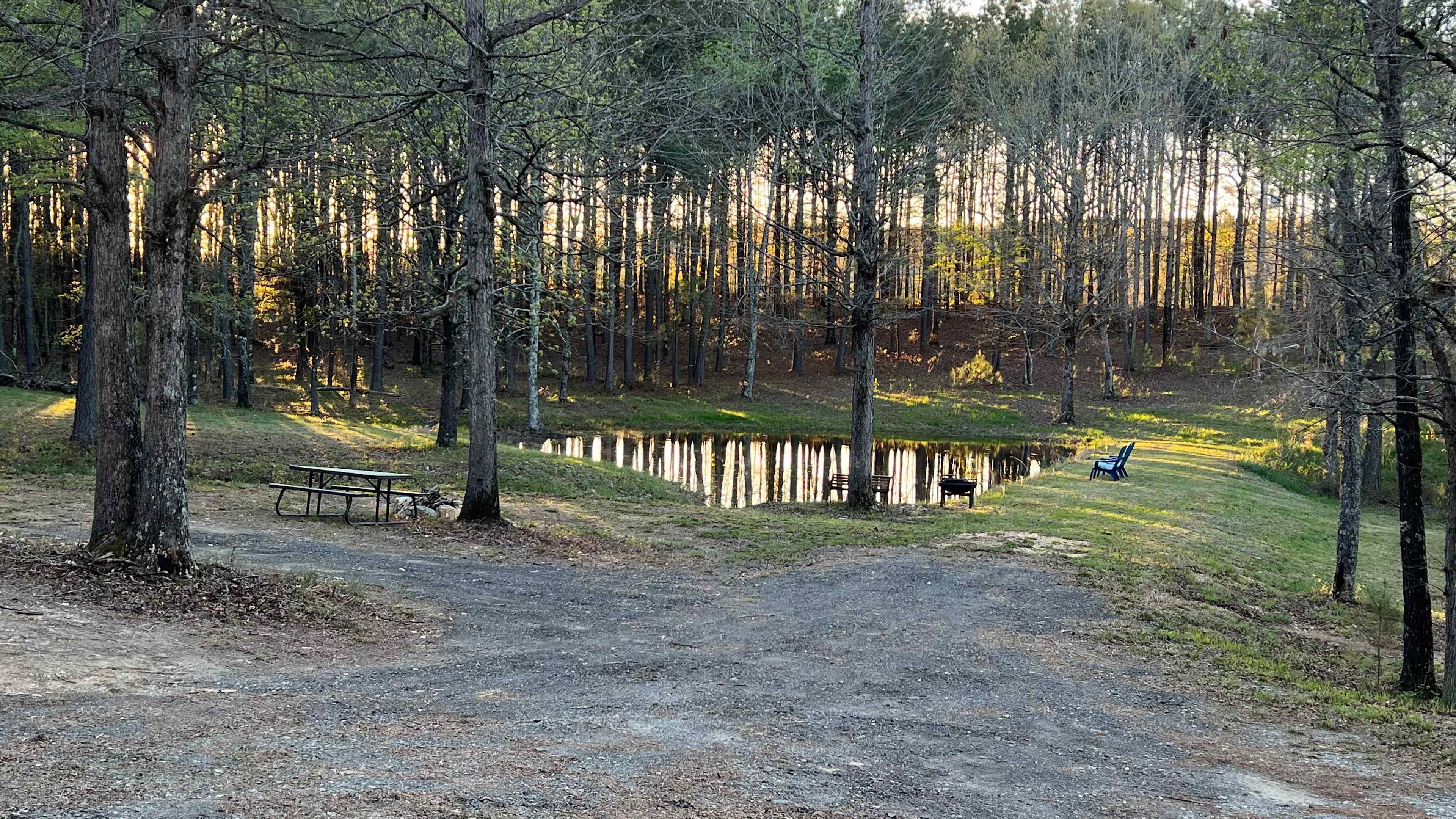 Picture of the site