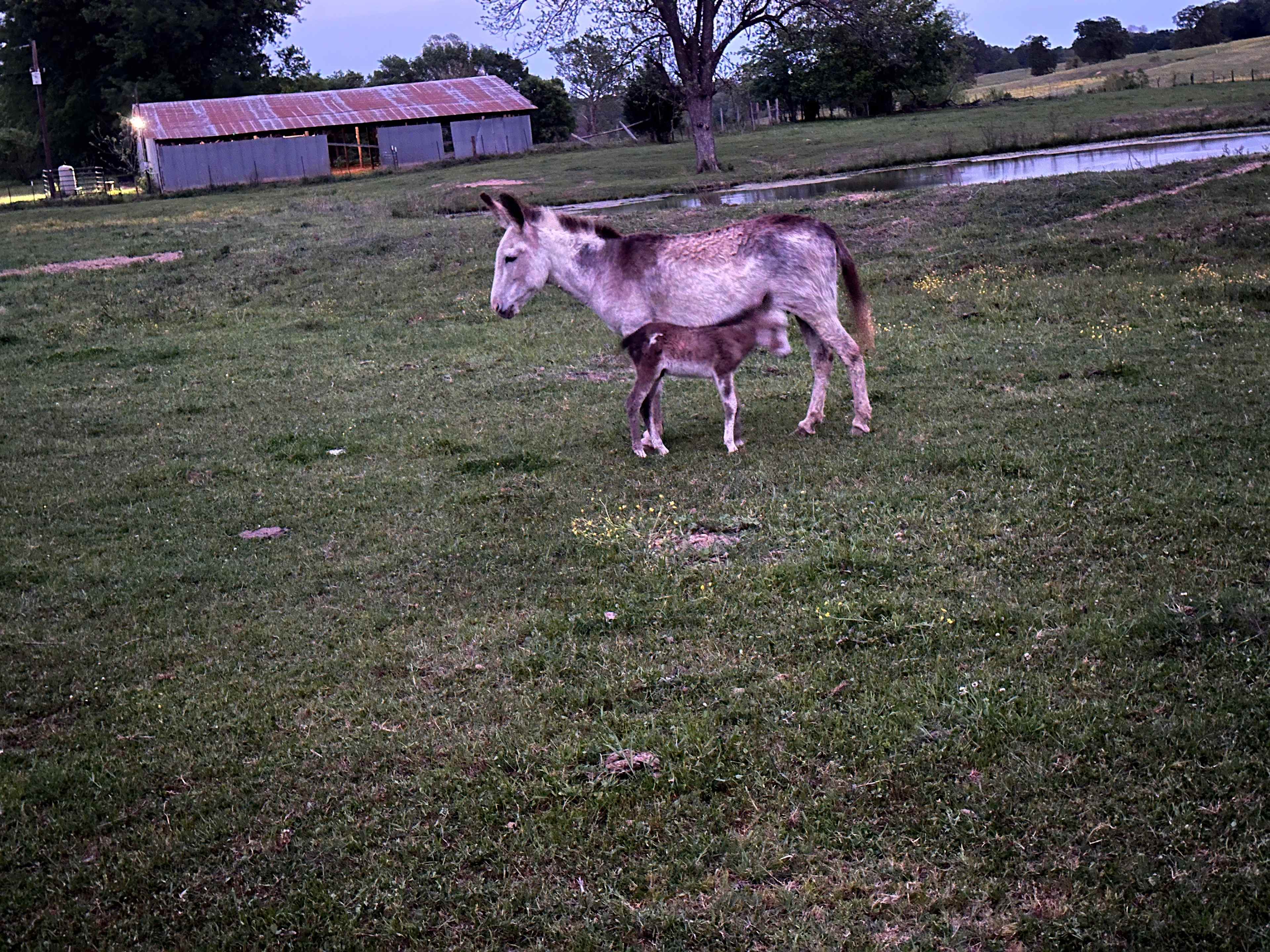 News Ranch