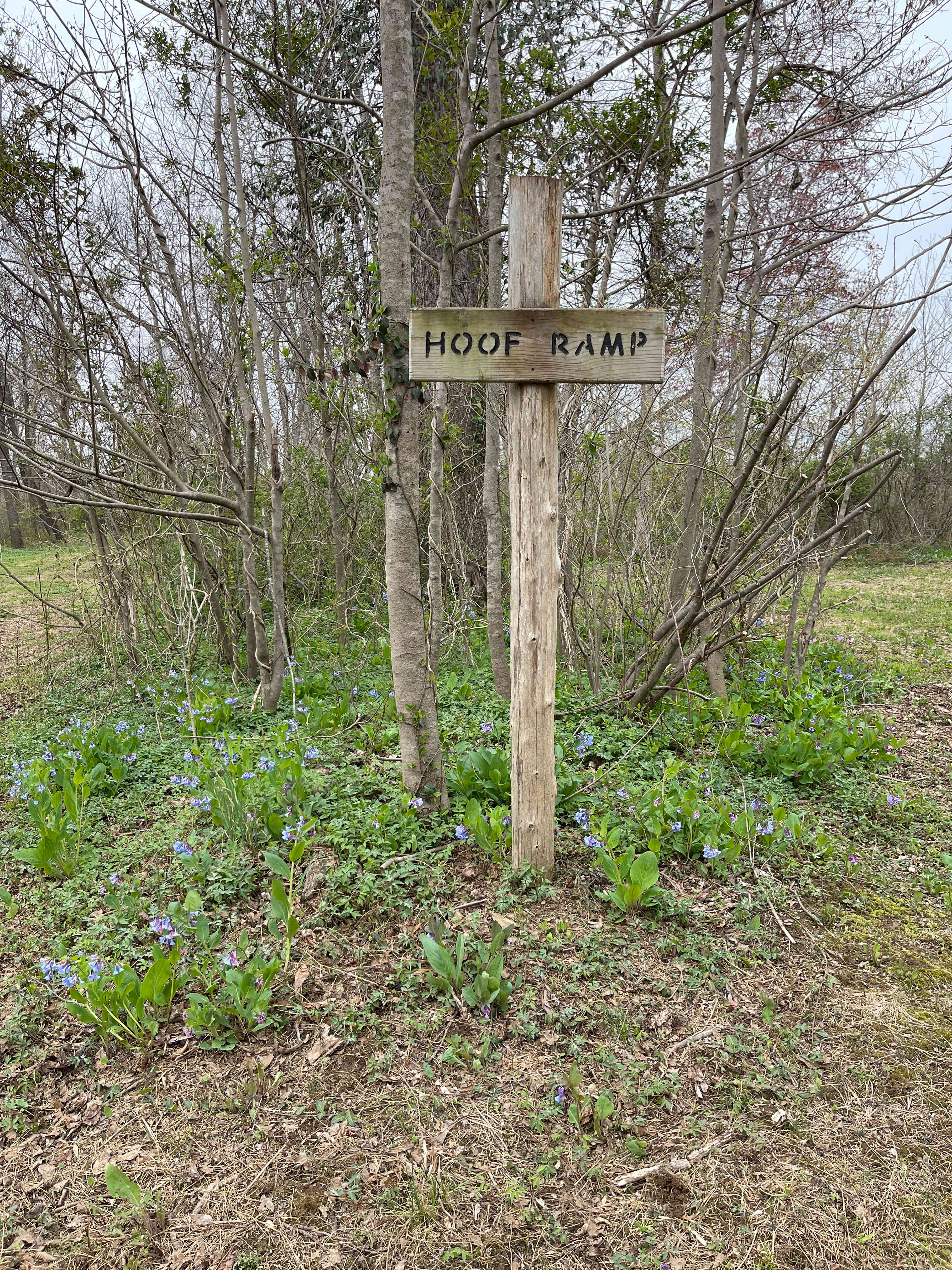 Camping on the Hazel River