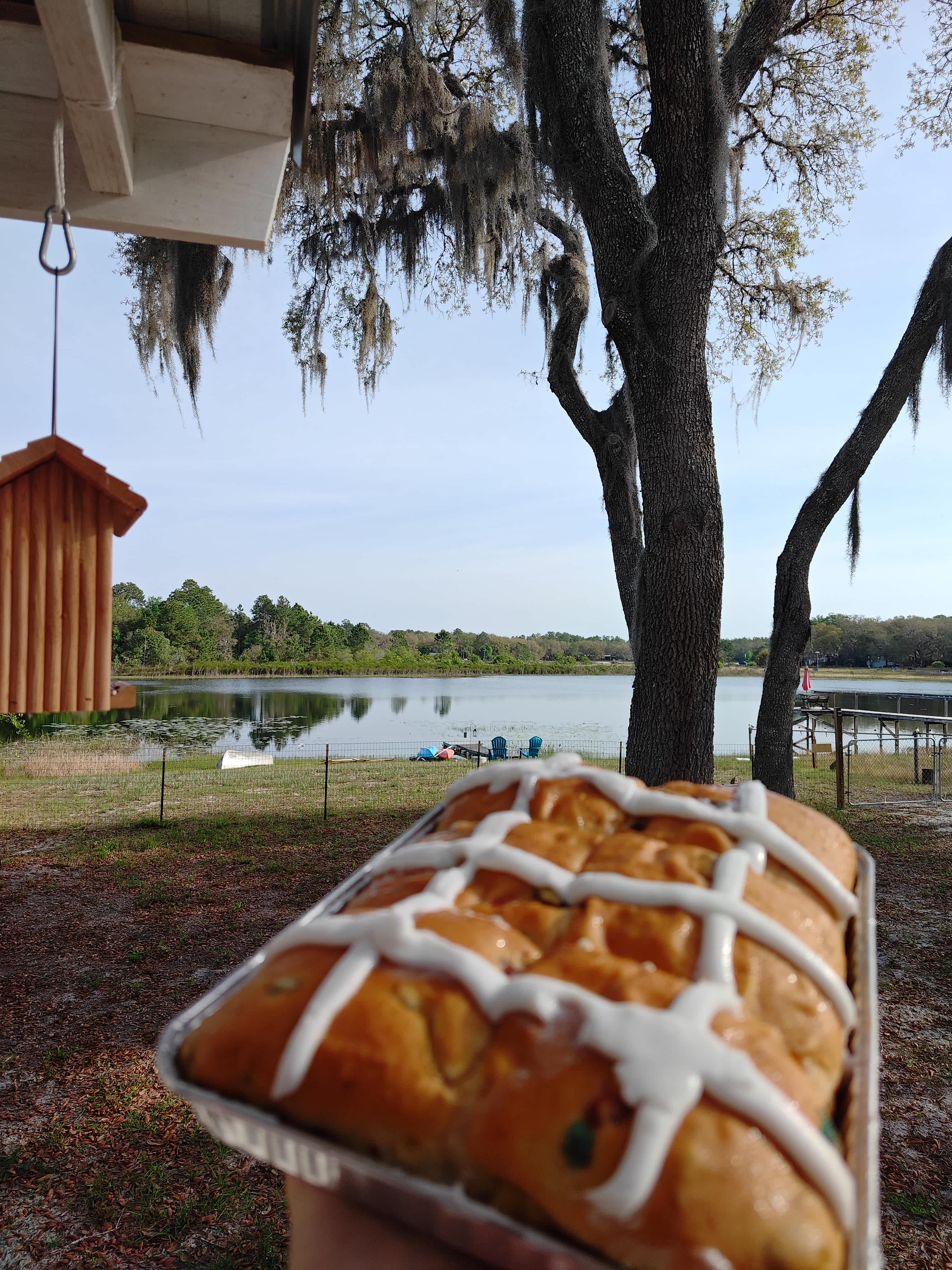 Lakefront Sweet Spot, N Central FL
