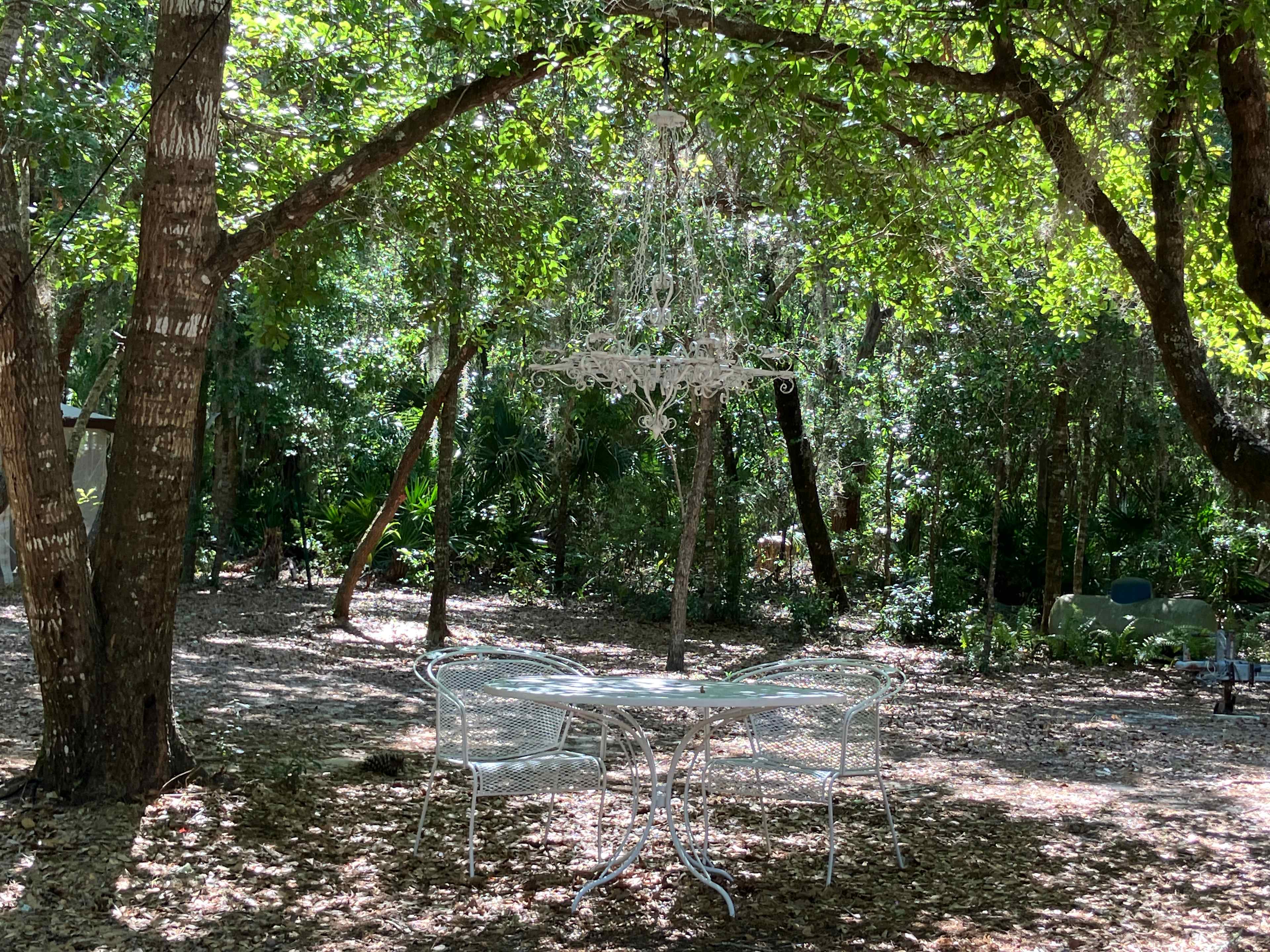 Fairytale Forrest