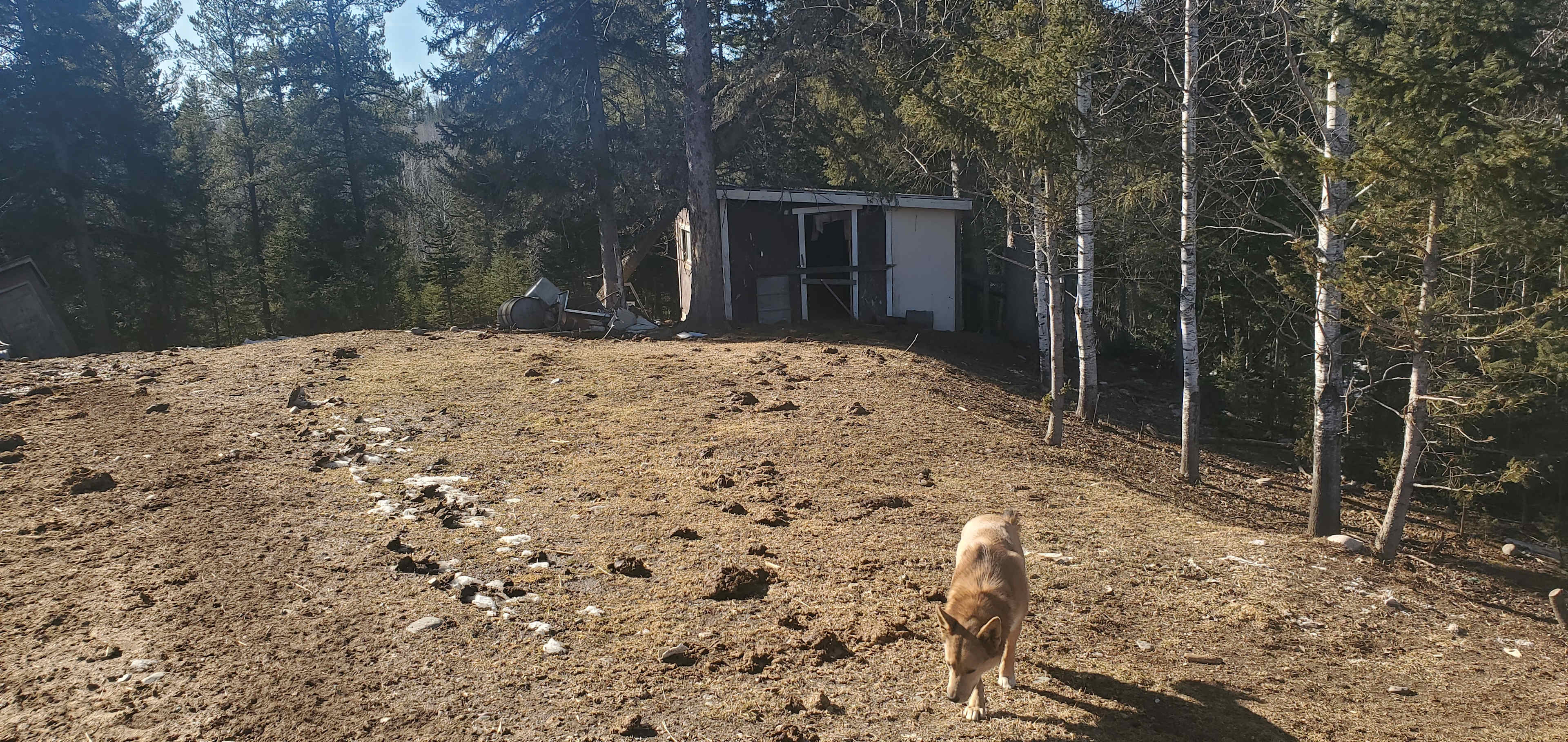 Wild Hills of Kam. Hobby farm