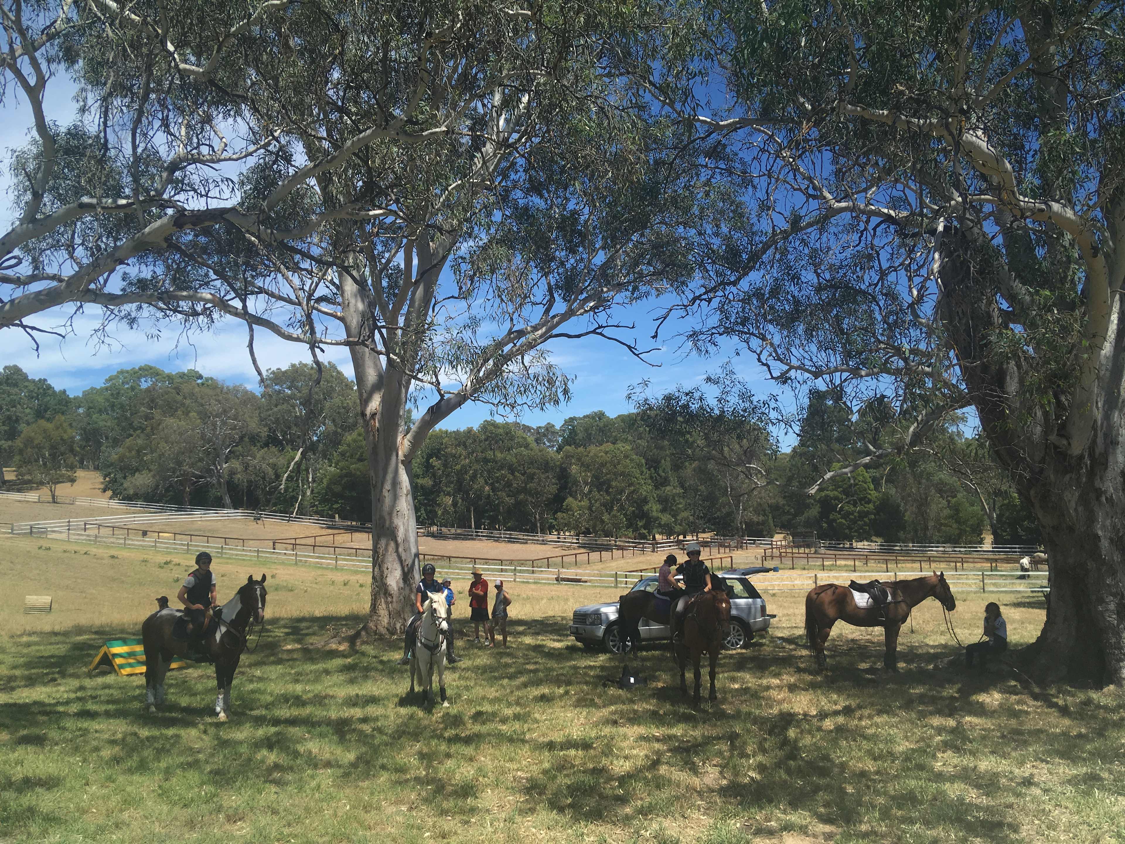 Hallmark Farm Equine Retreat