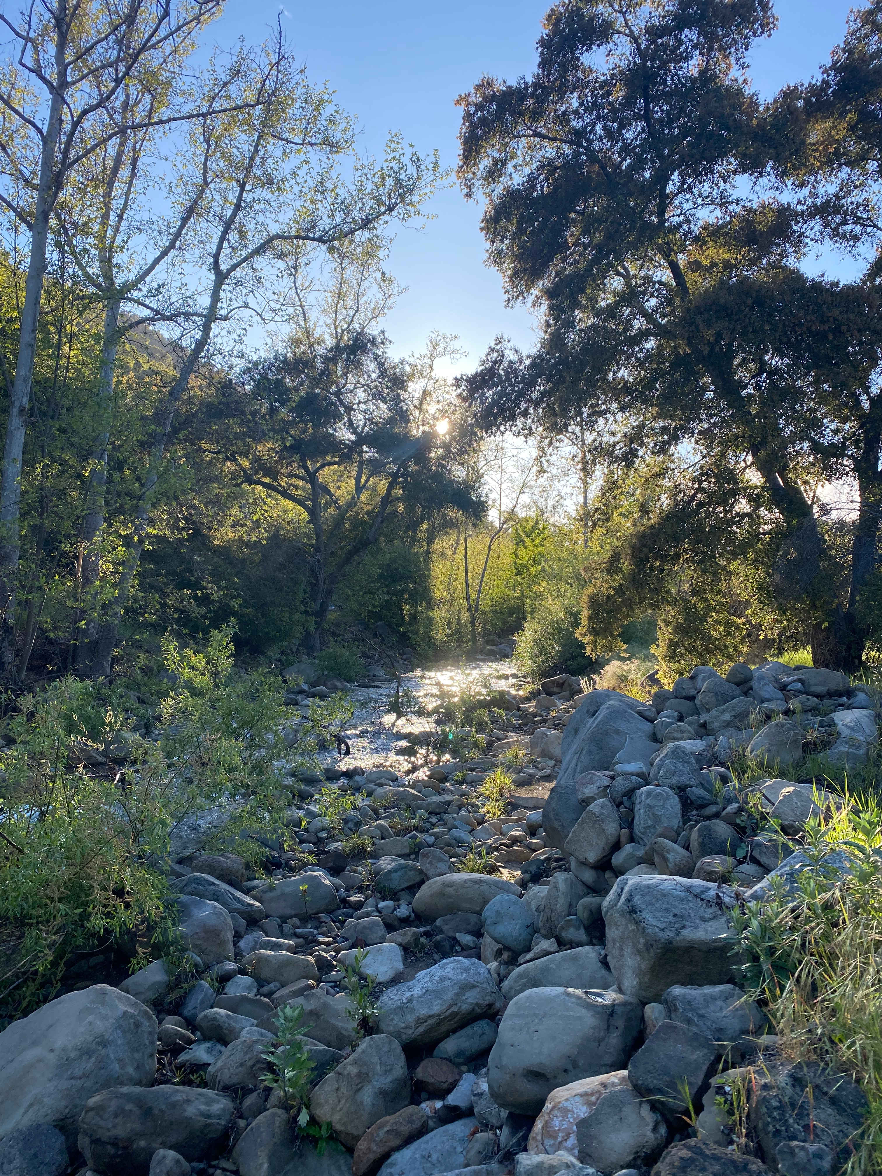Camp RainDale