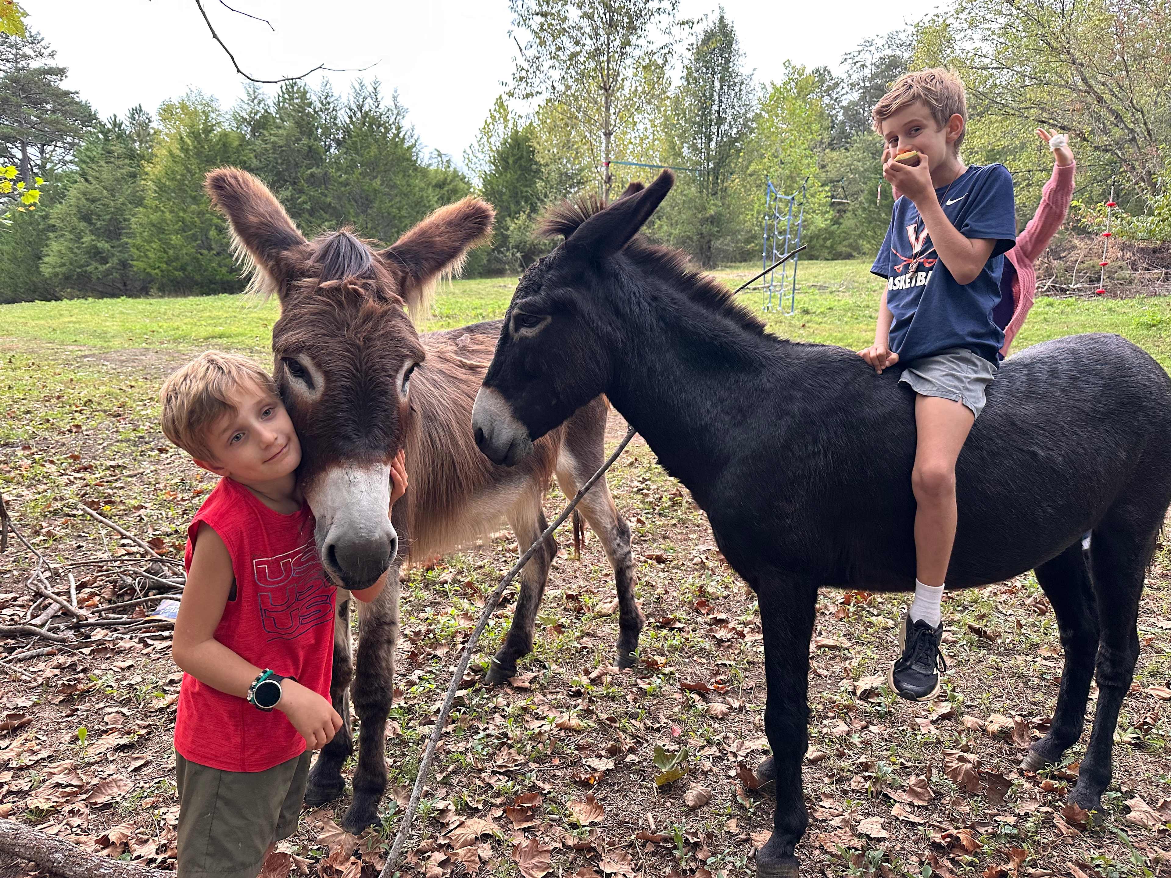 Riverside Camping with Donkeys