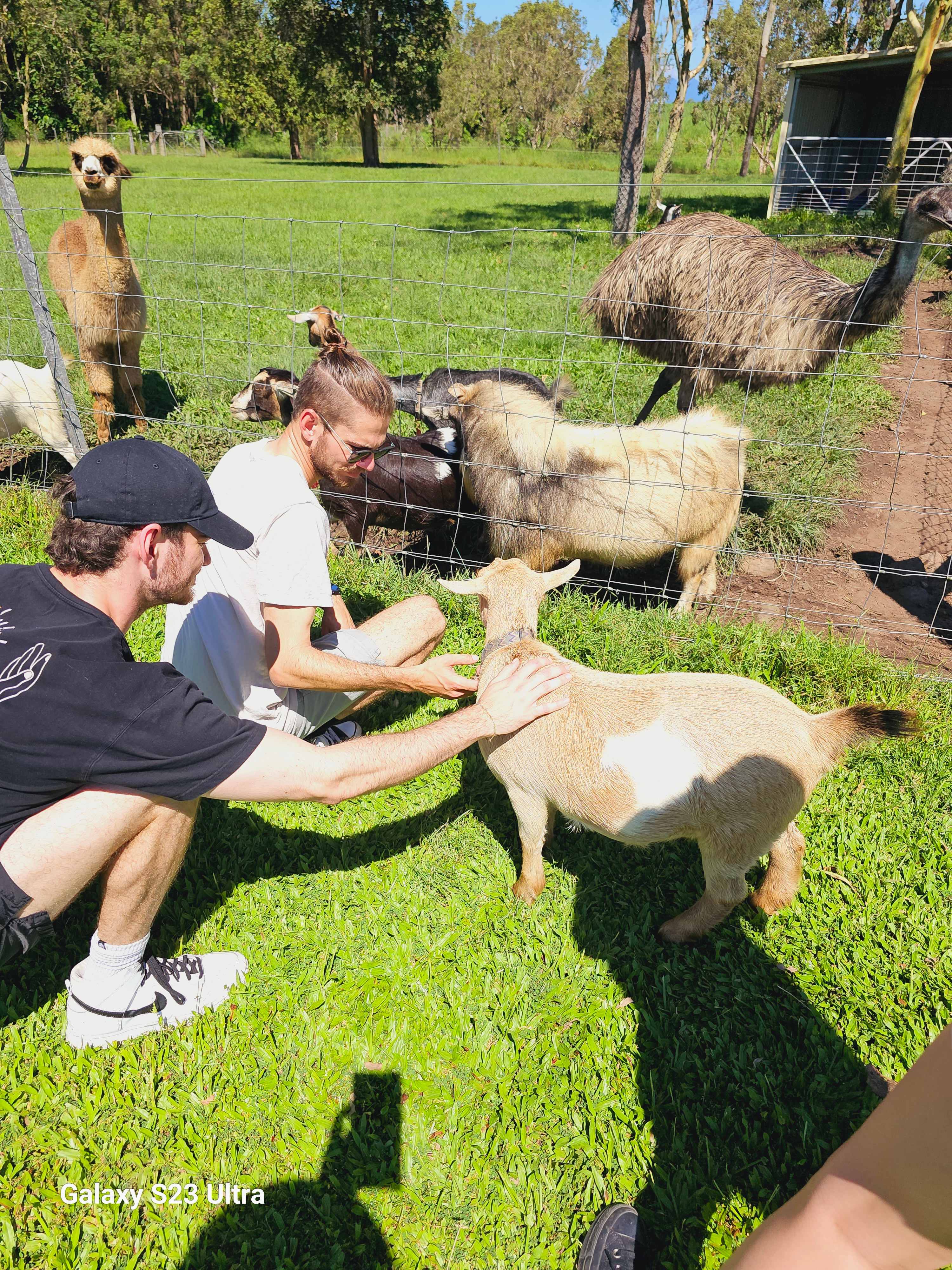 Jarravale Farm Stay