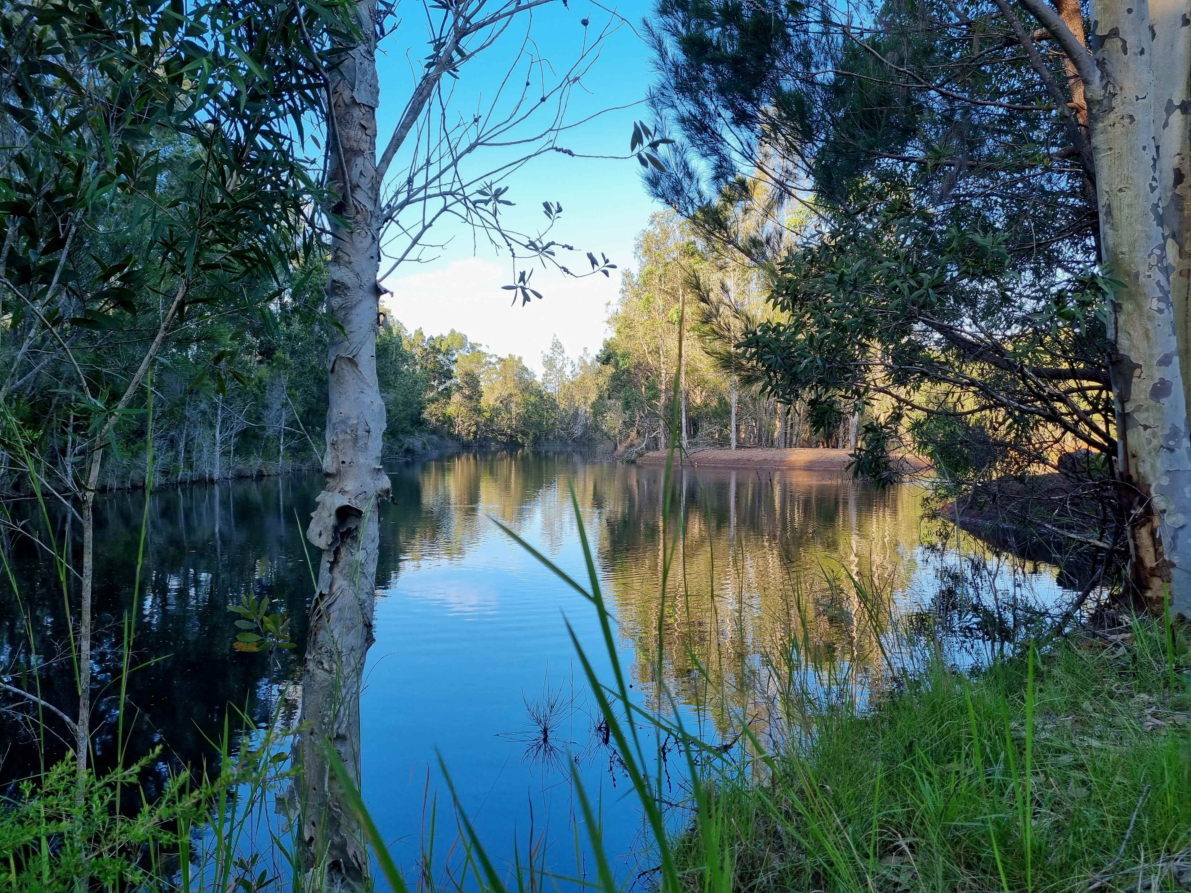 Diamond Park Campsite