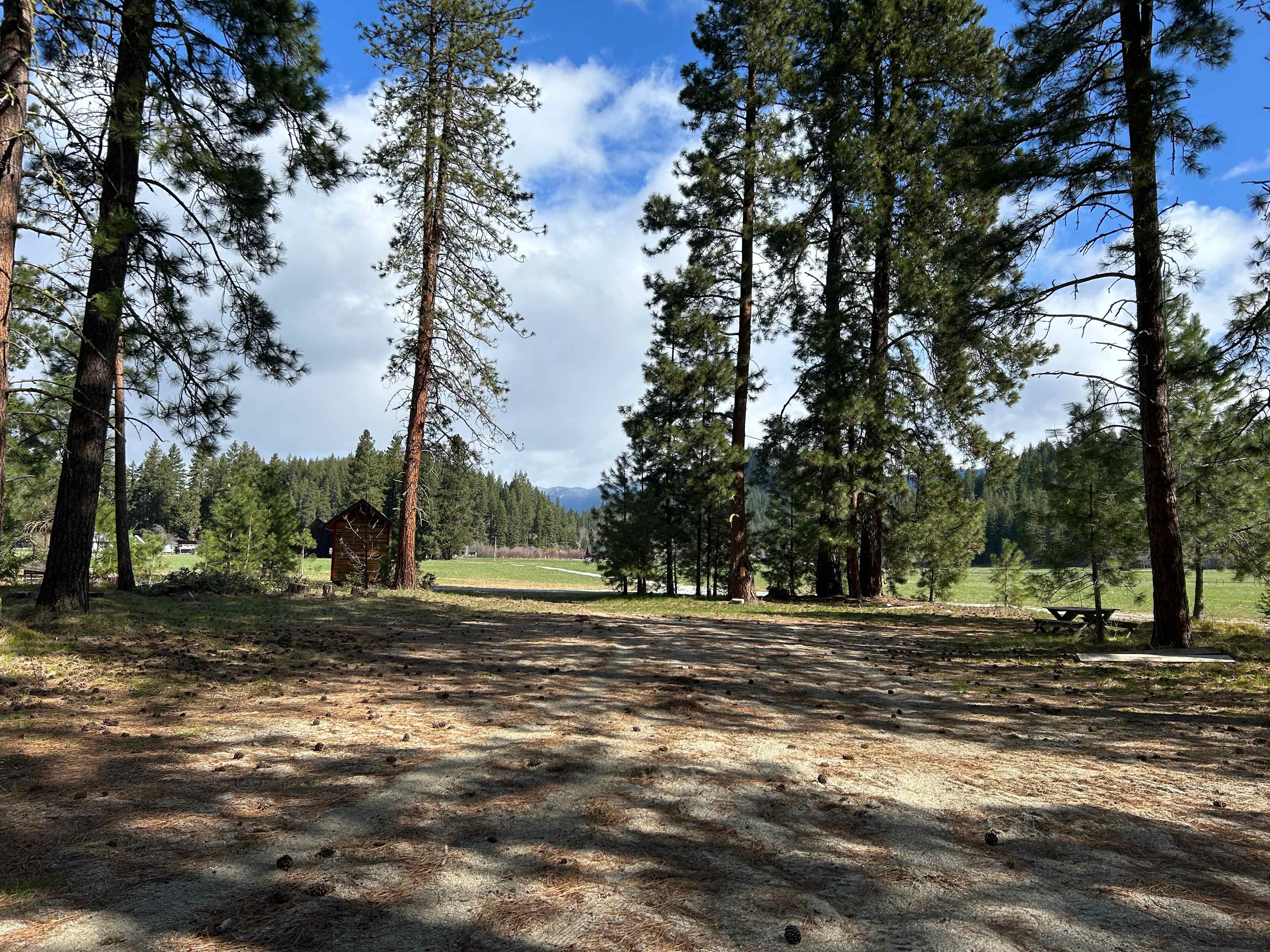 Camp Happy Dogs! Plain Wa.