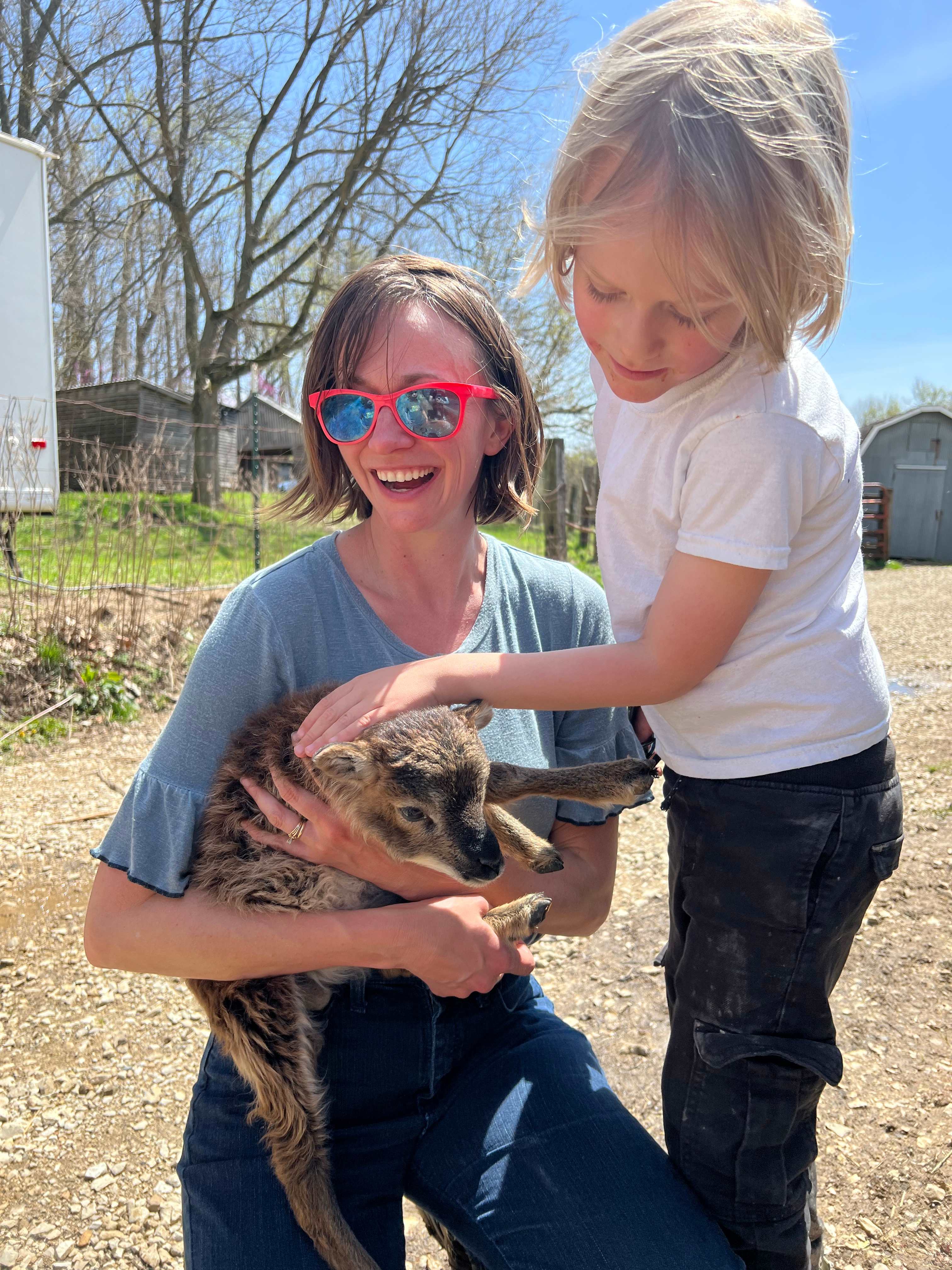 Celtic Glen Farm Stay