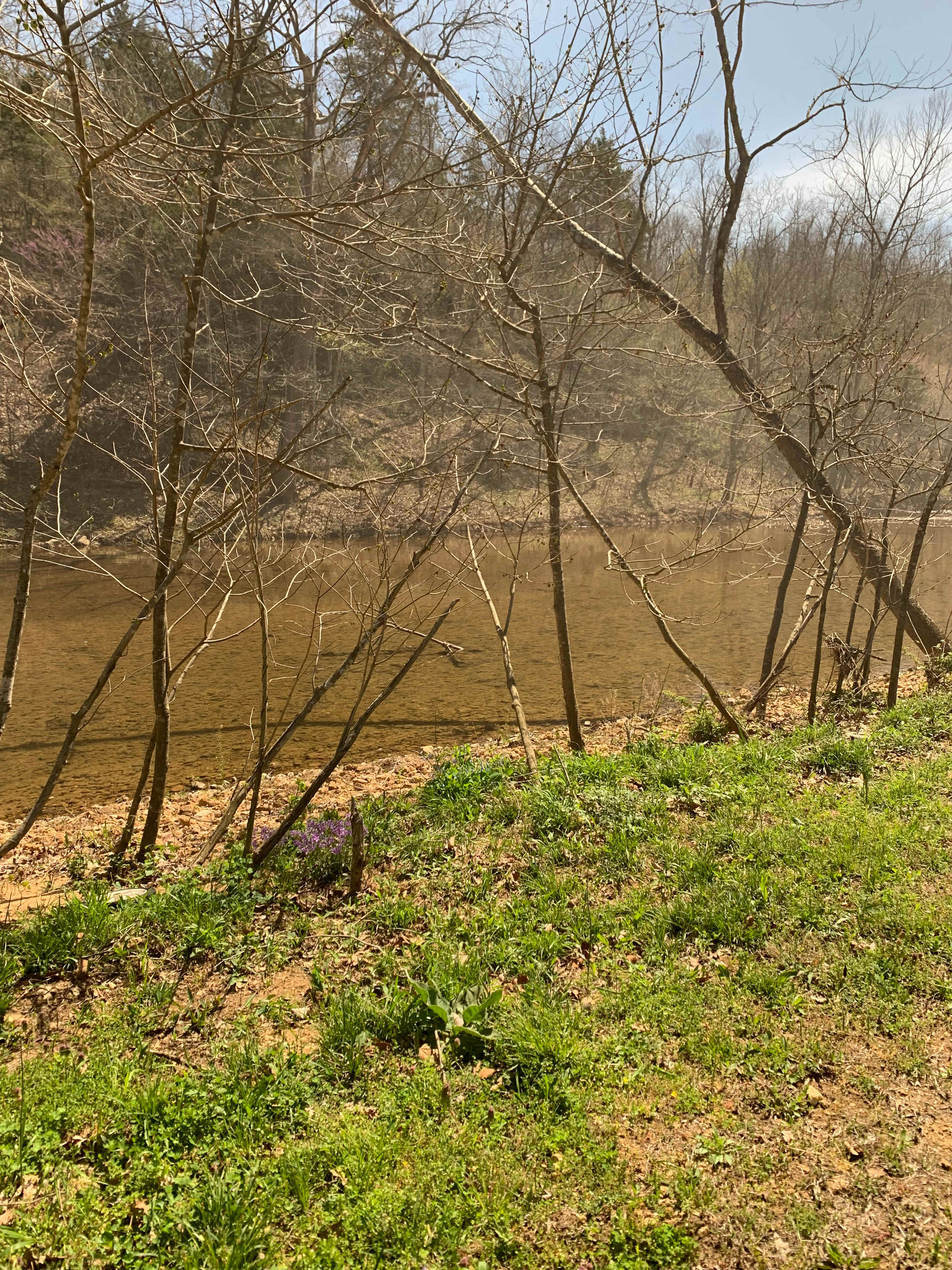 View from site 1