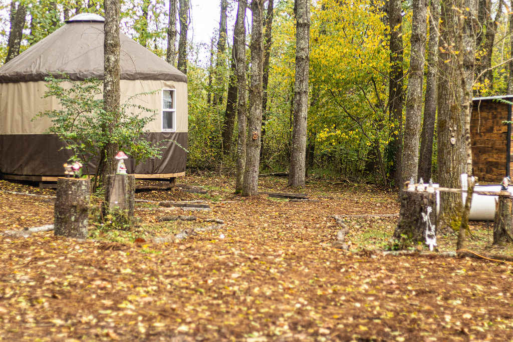 Comfy Yurts And Safari Tent