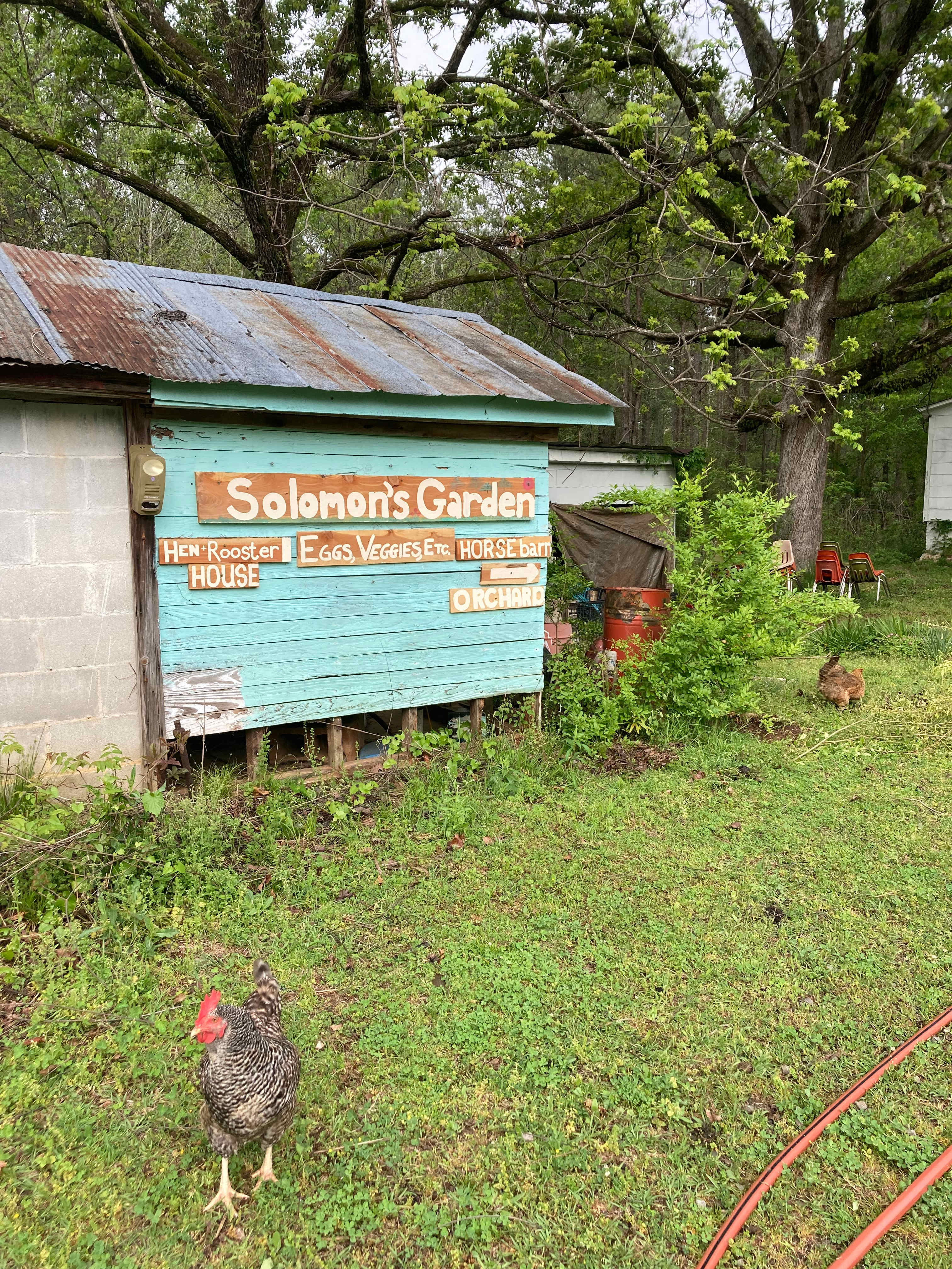 Solomon's Garden