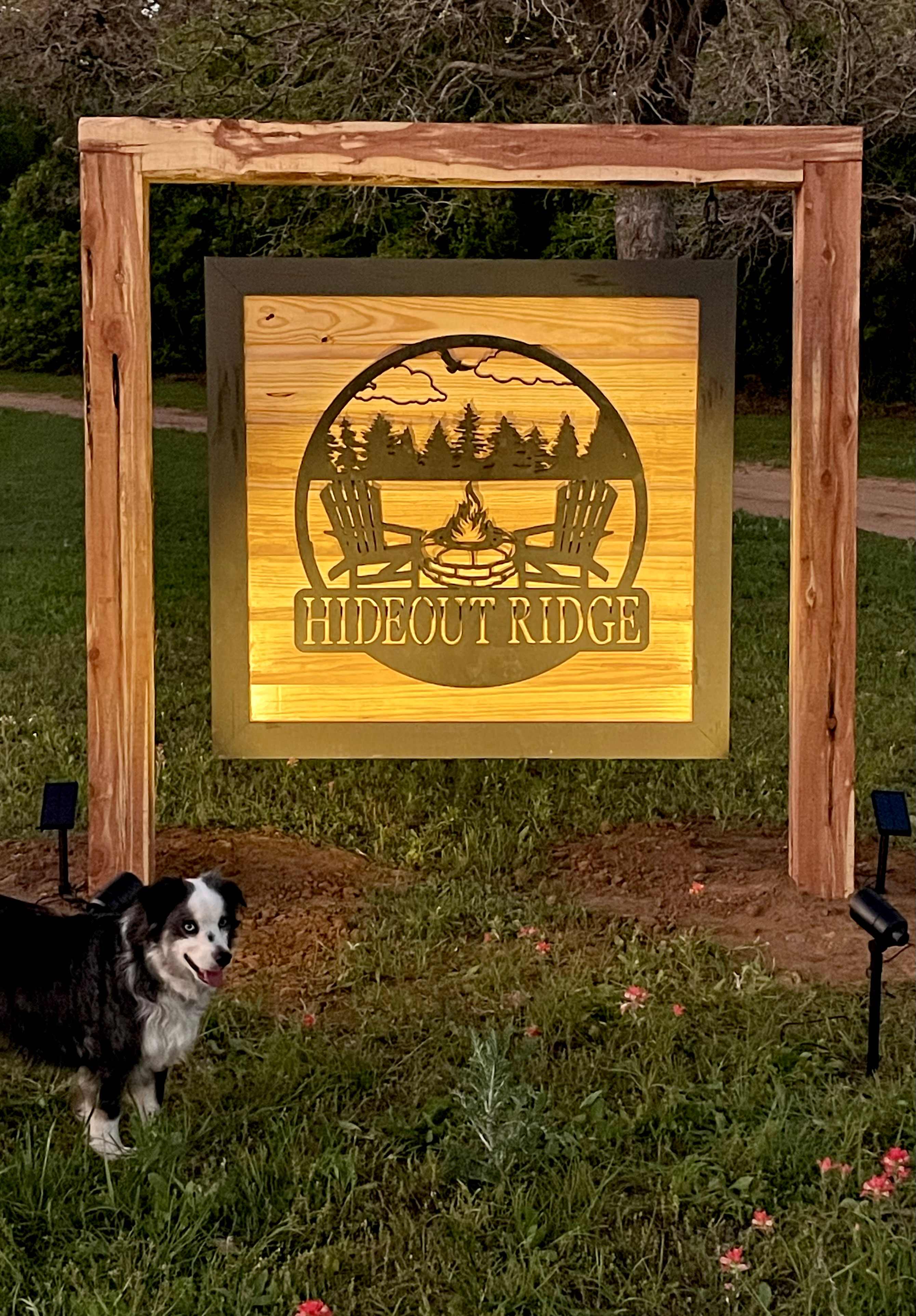 Picture of the site