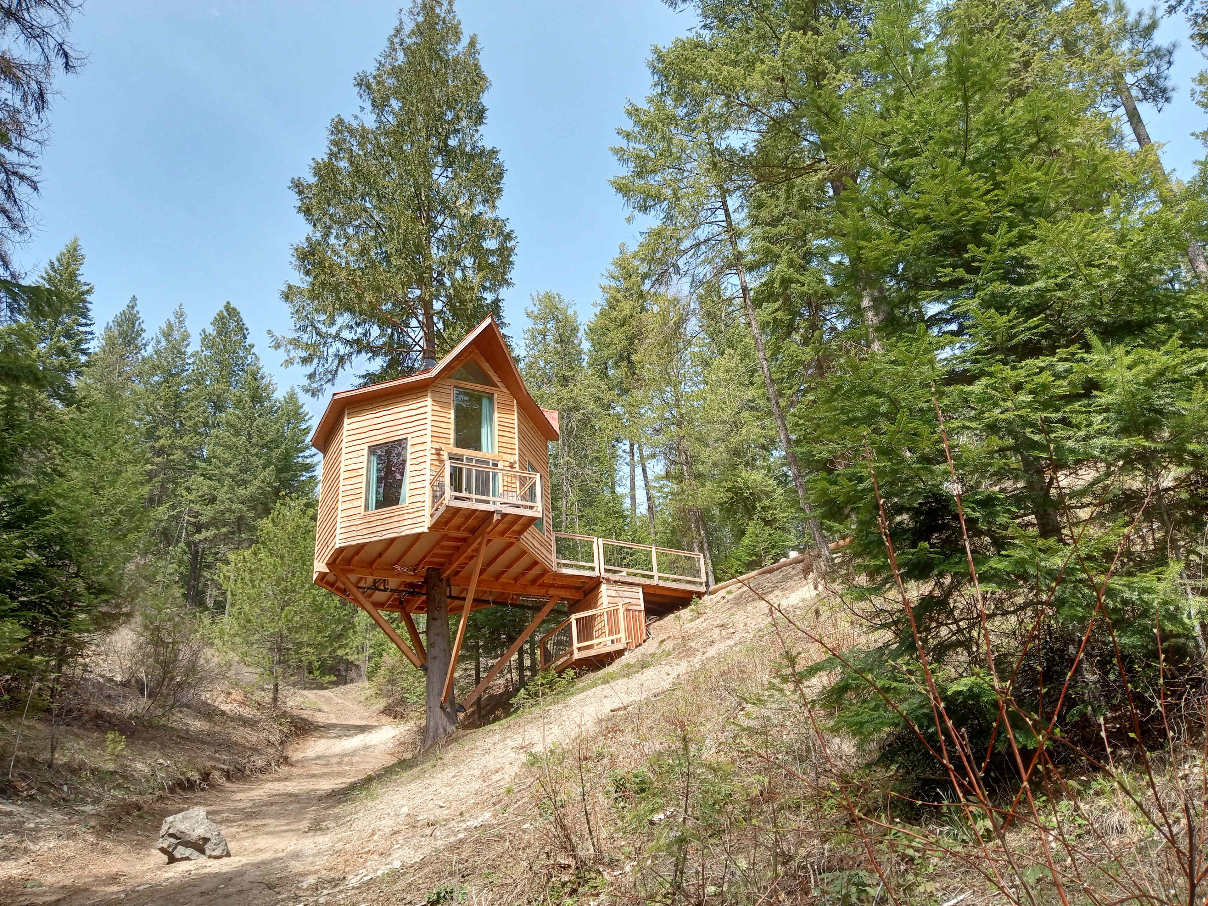 Wild Branches Treehouse