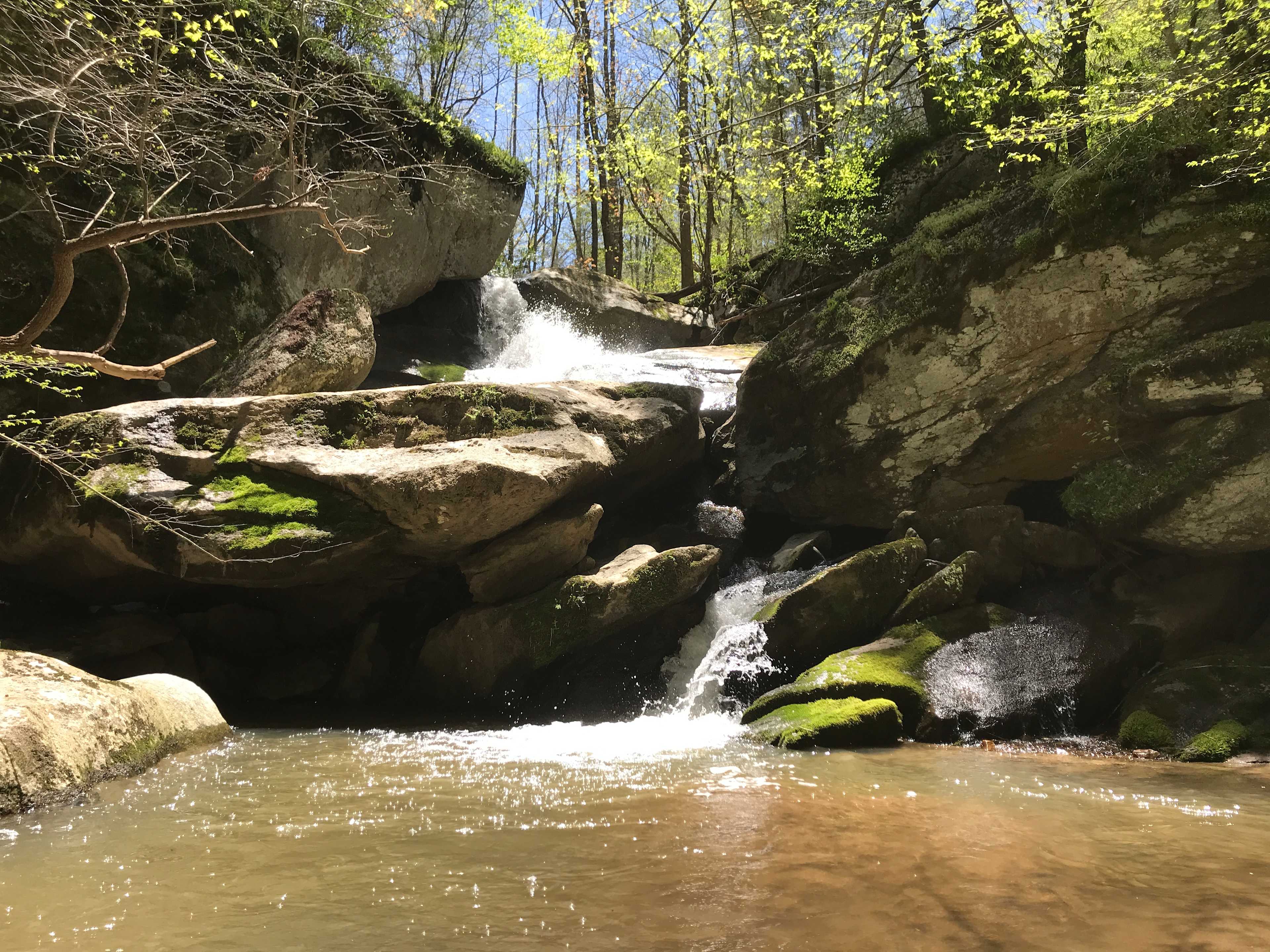 Paradise on Paw Paw