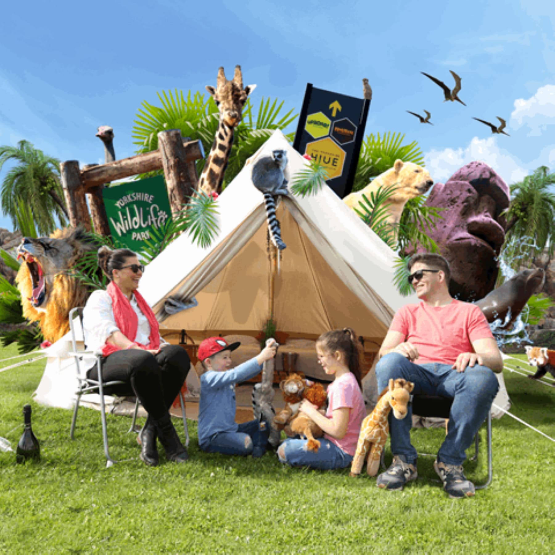 Camp Lion - Yorkshire Wildlife Park