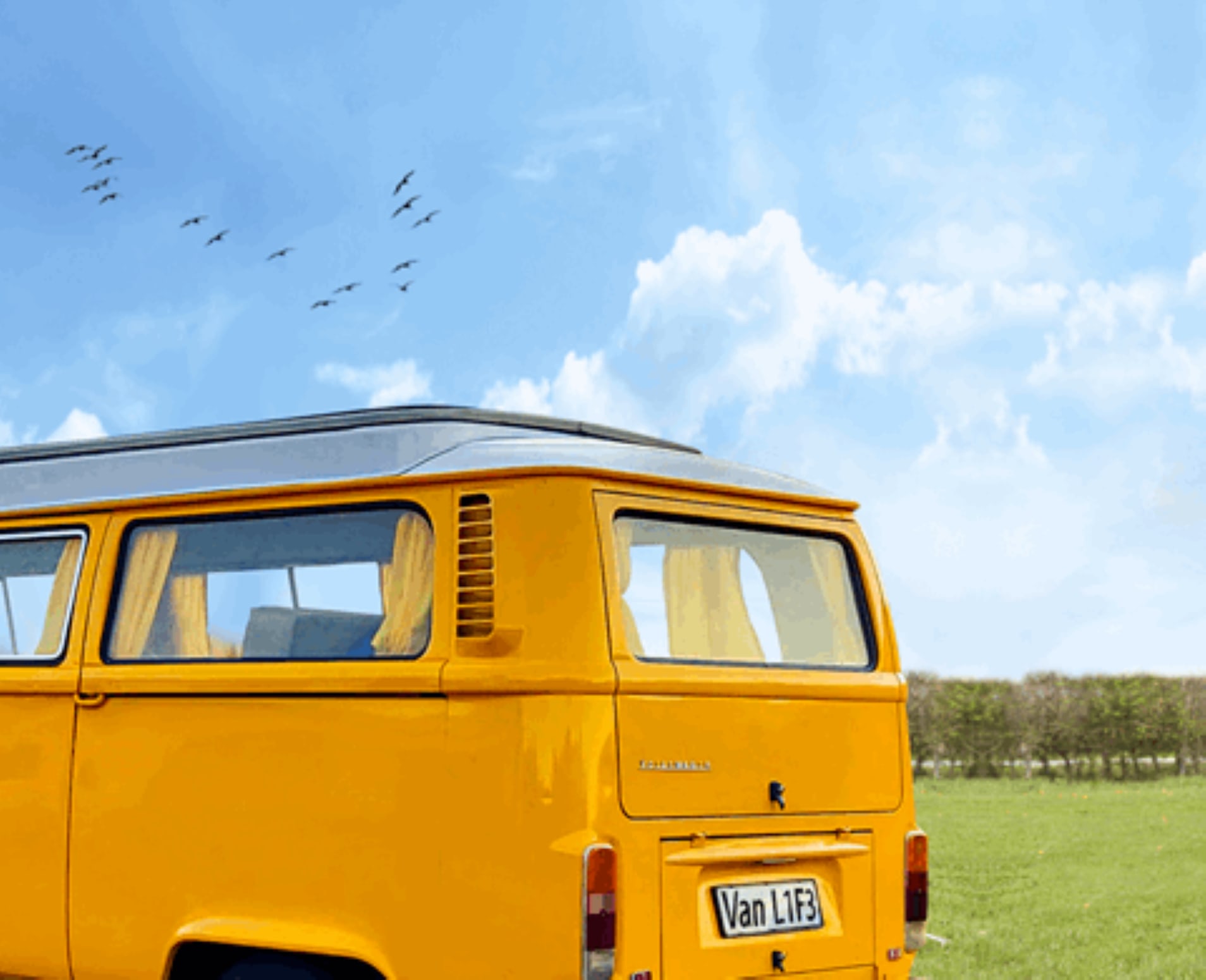Camp Lion - Yorkshire Wildlife Park