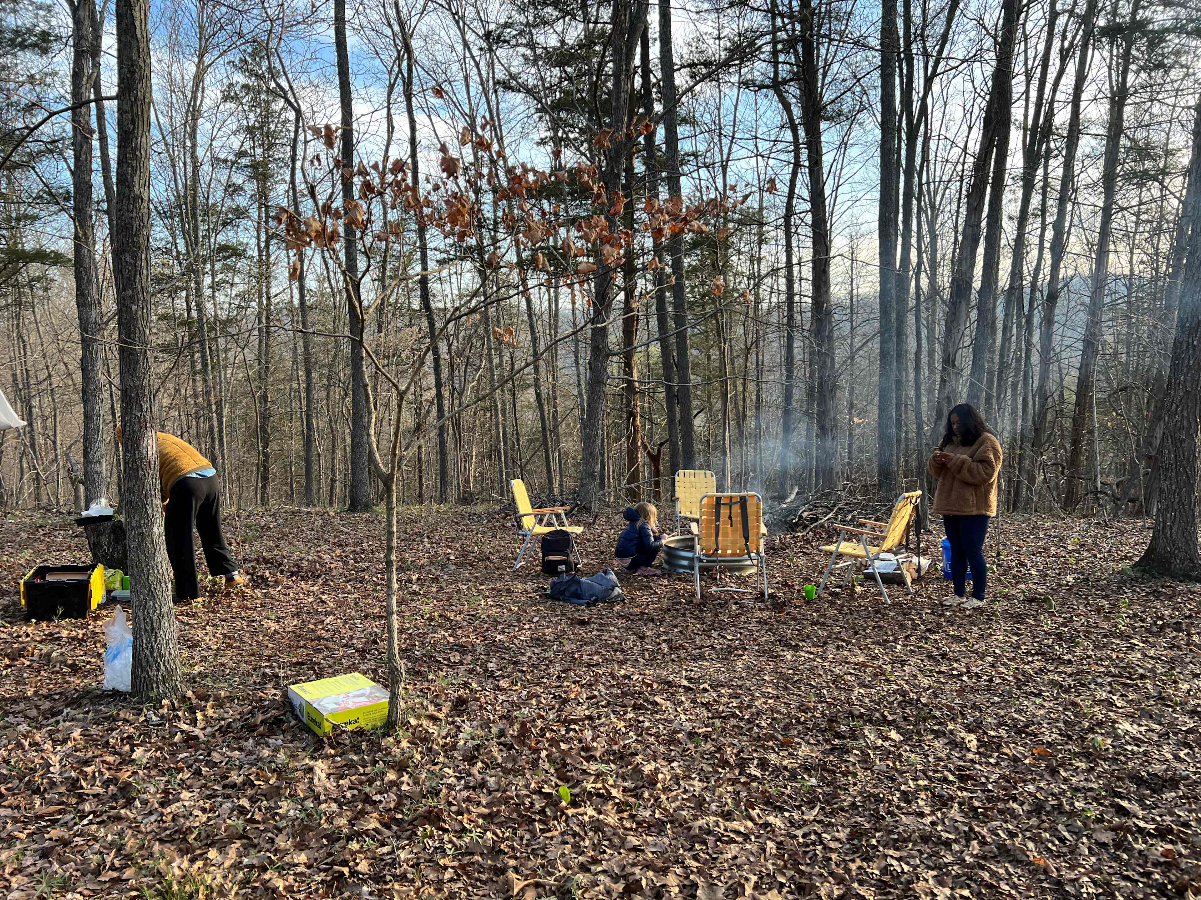 Picture of the site