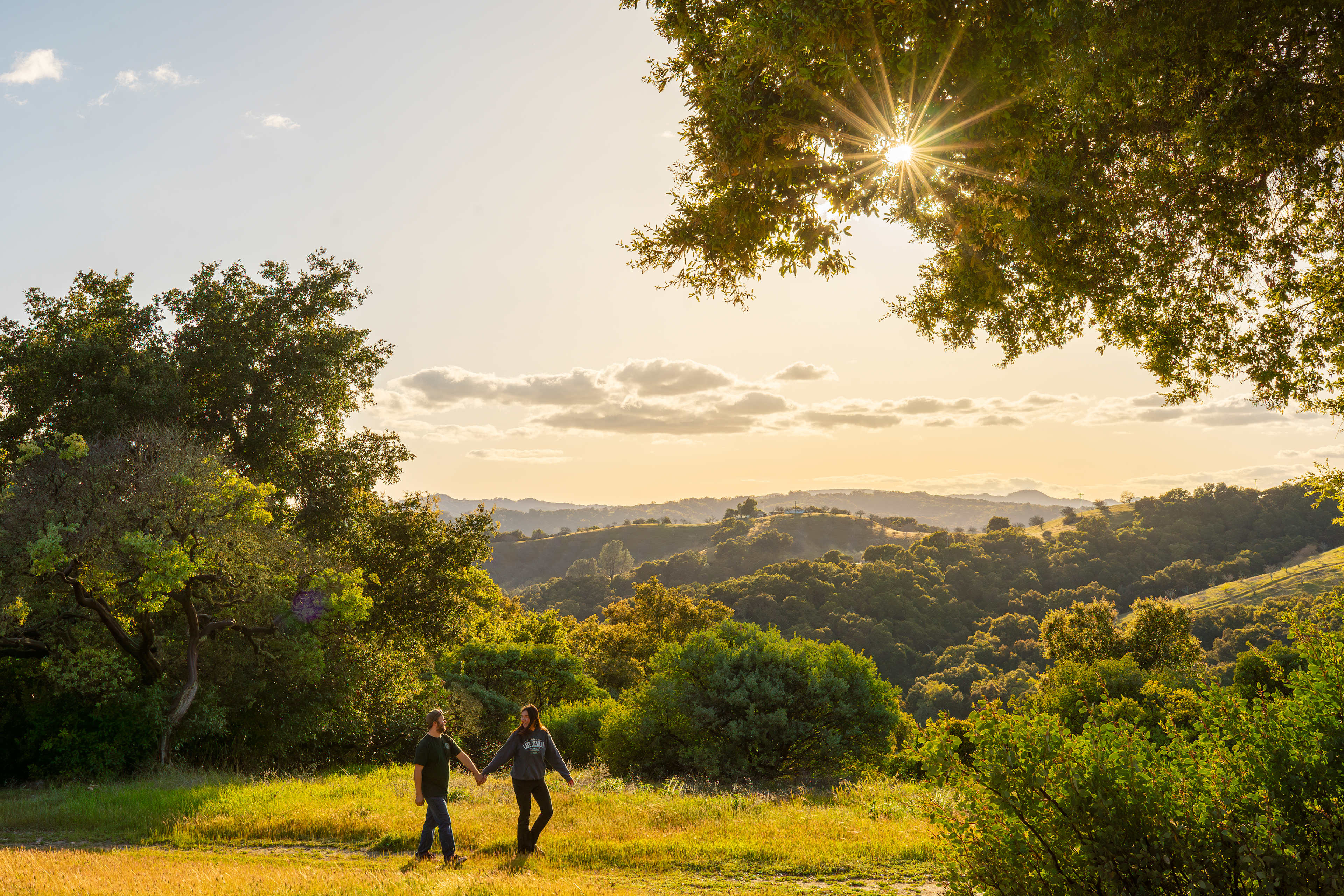 Romantic views of the vineyards and hills