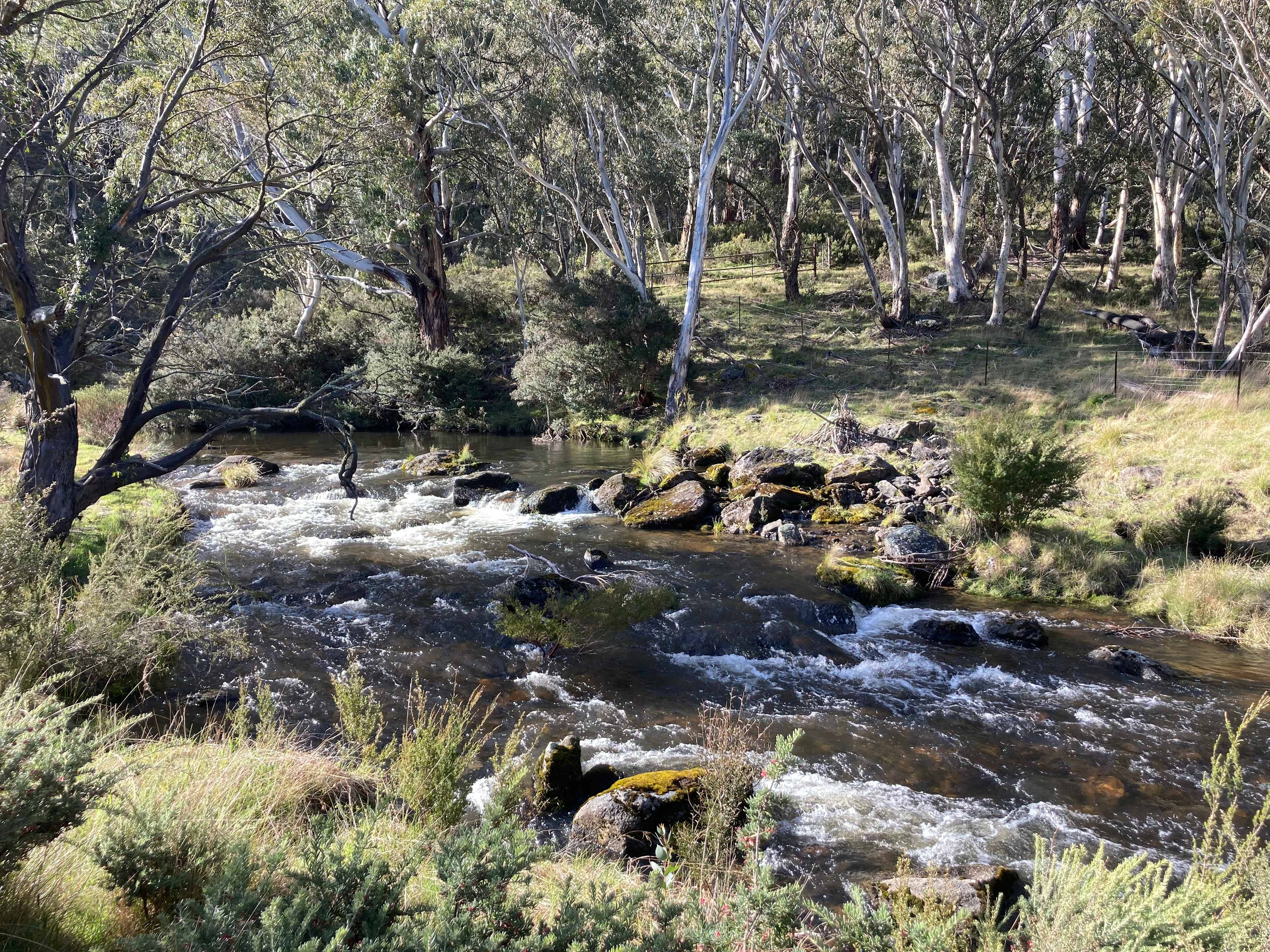 Bigyard Hipcamp where ...