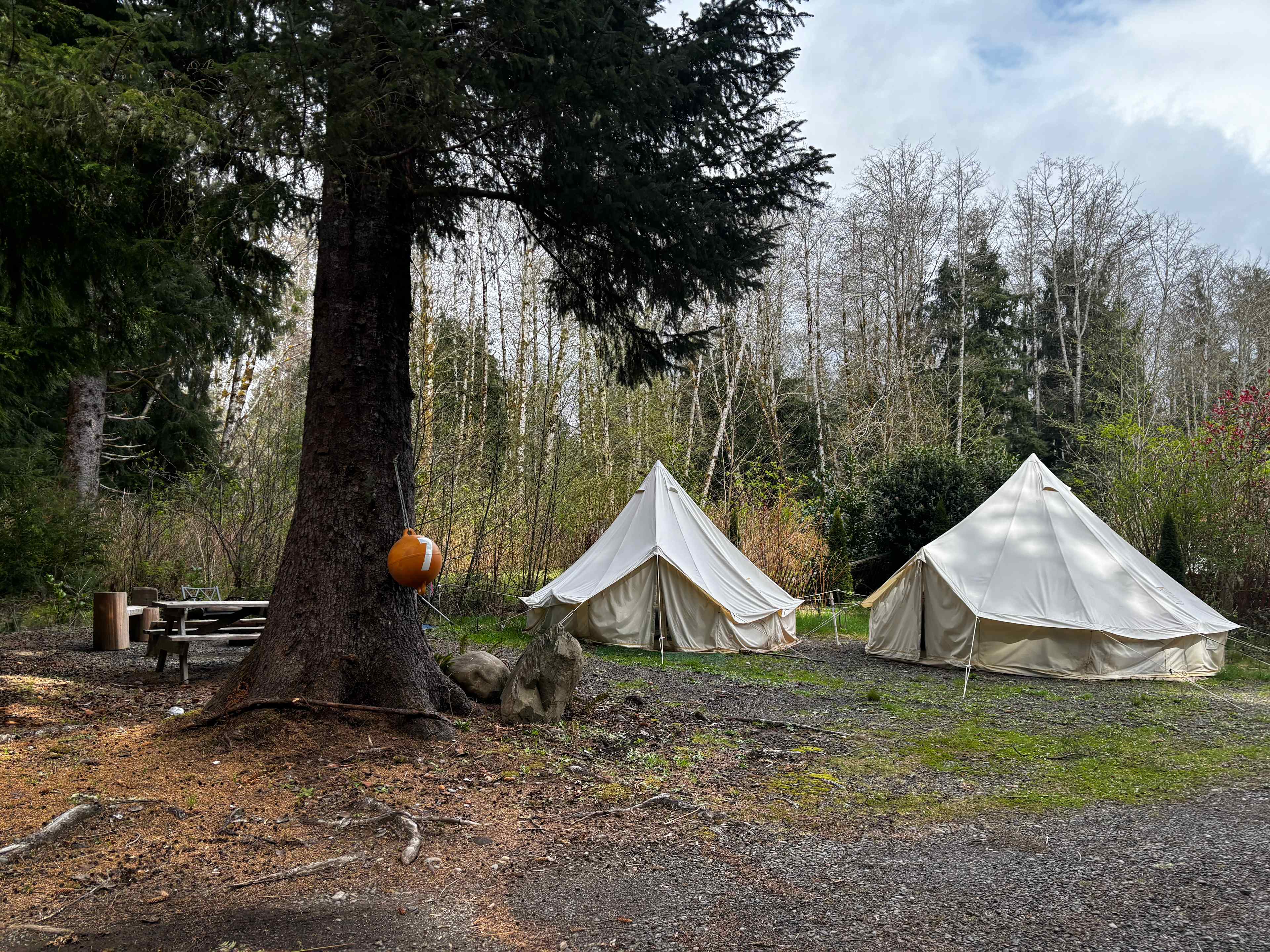 The Ultimate Camping