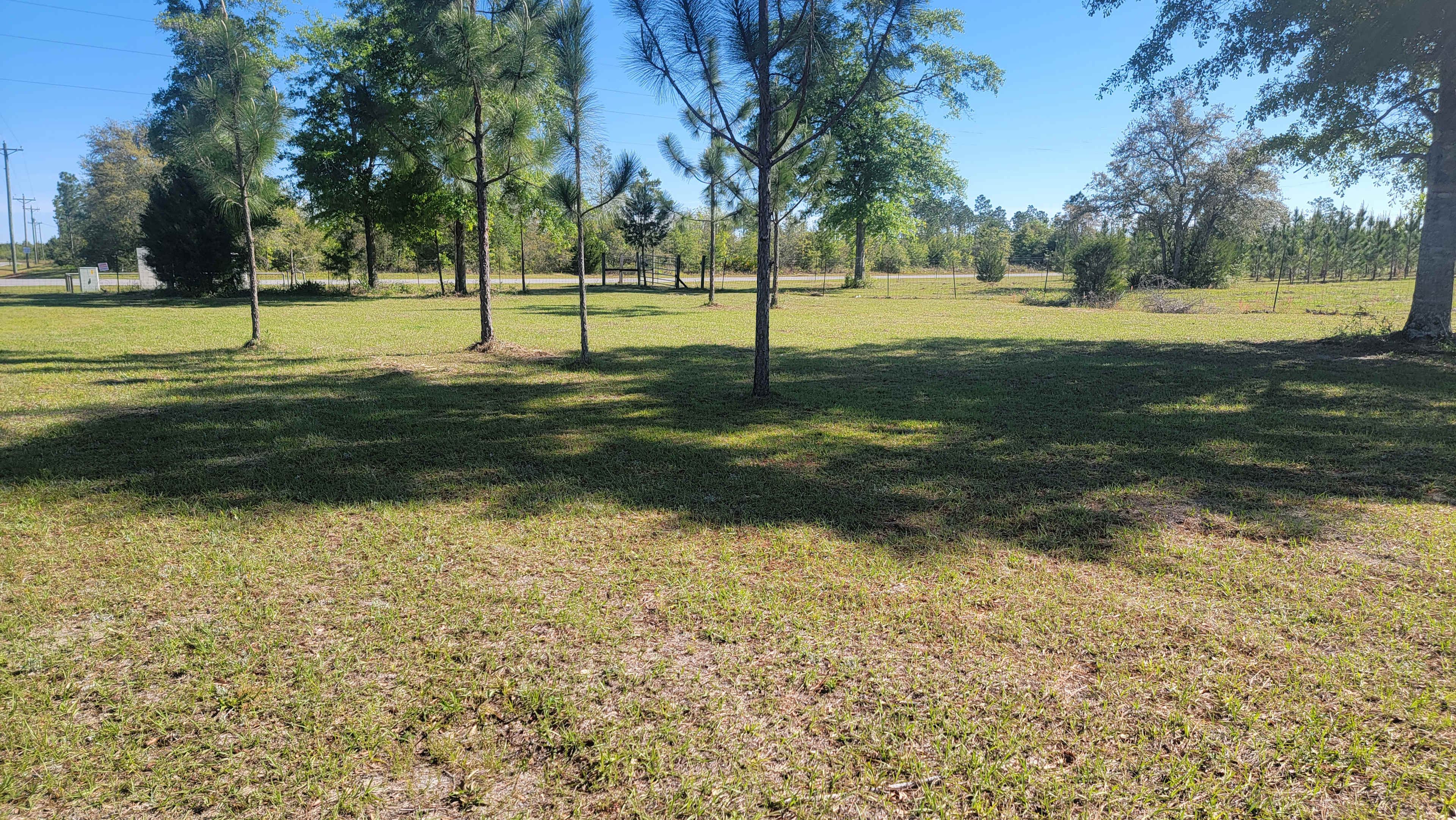 Primitive camping in front of RV spots