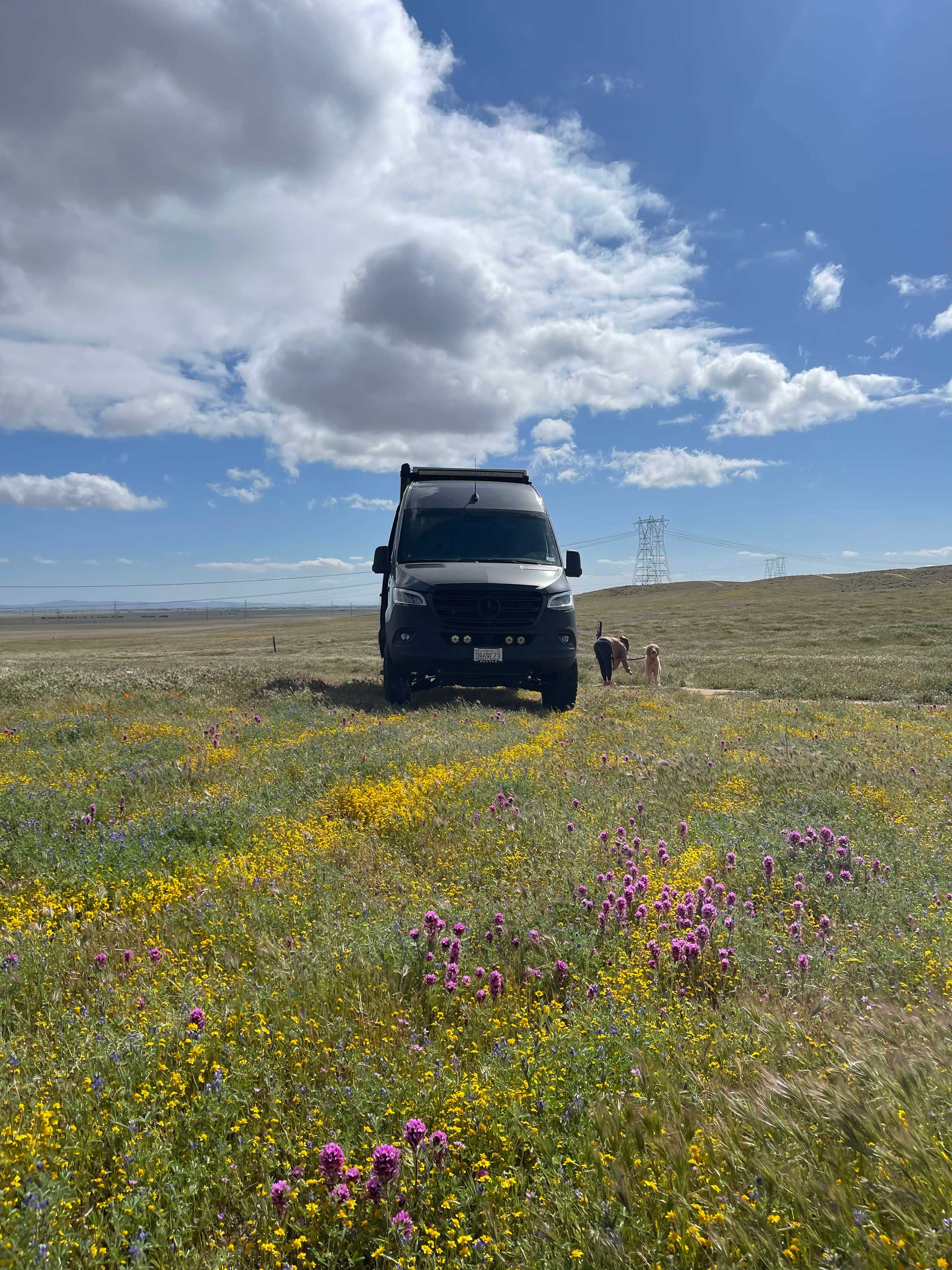 Magic Portal Stargazer's Retreat