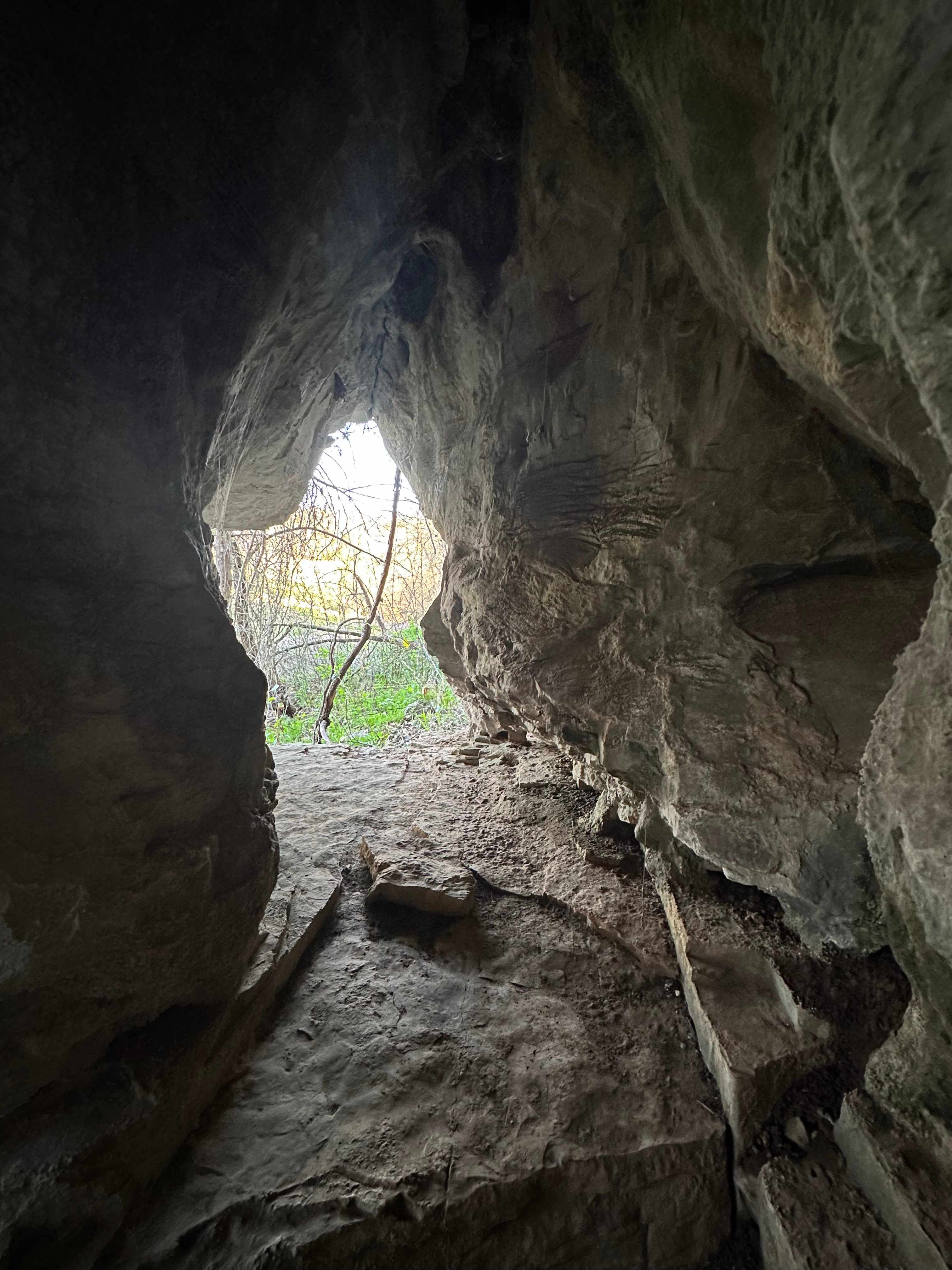 lightning Bug Hideaway