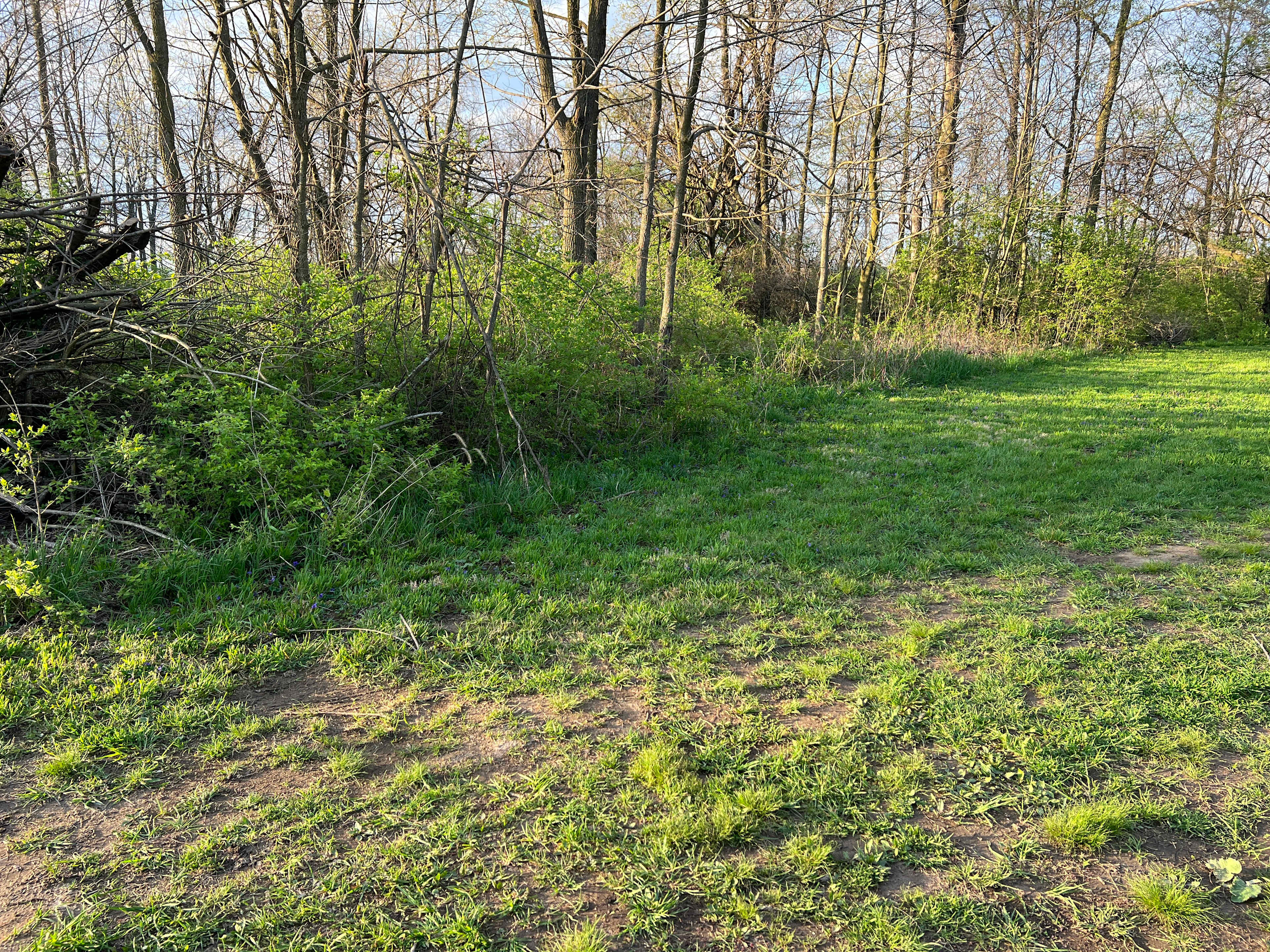 Walnut Grove Farm