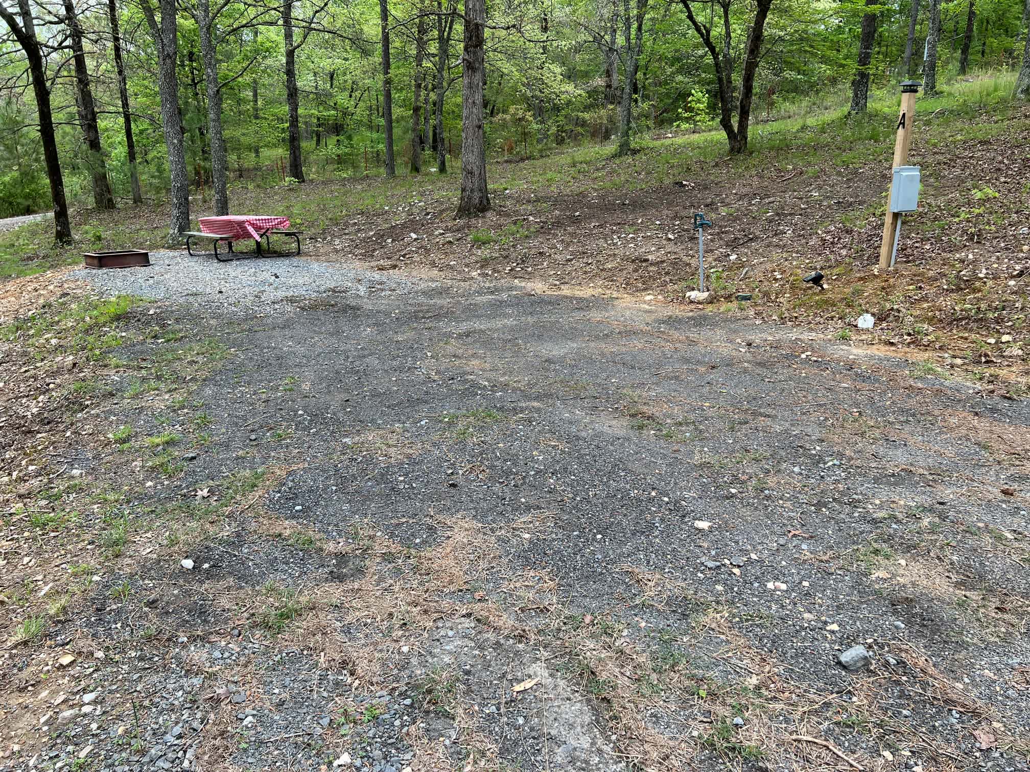 Picture of the site