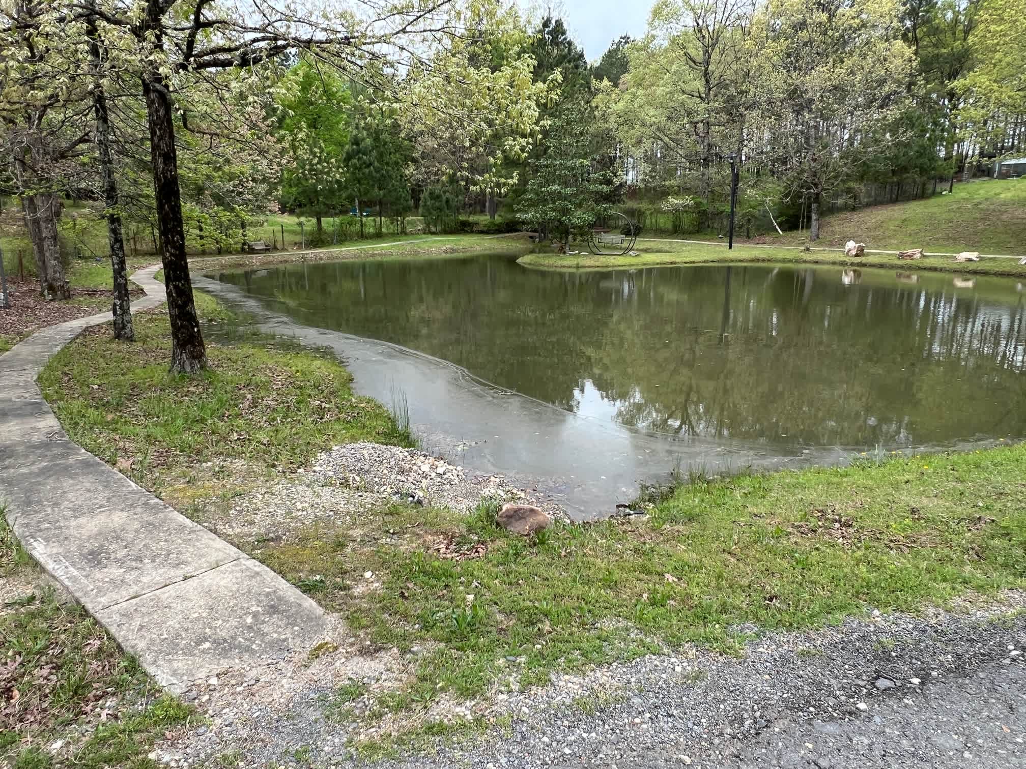 Picture of the site