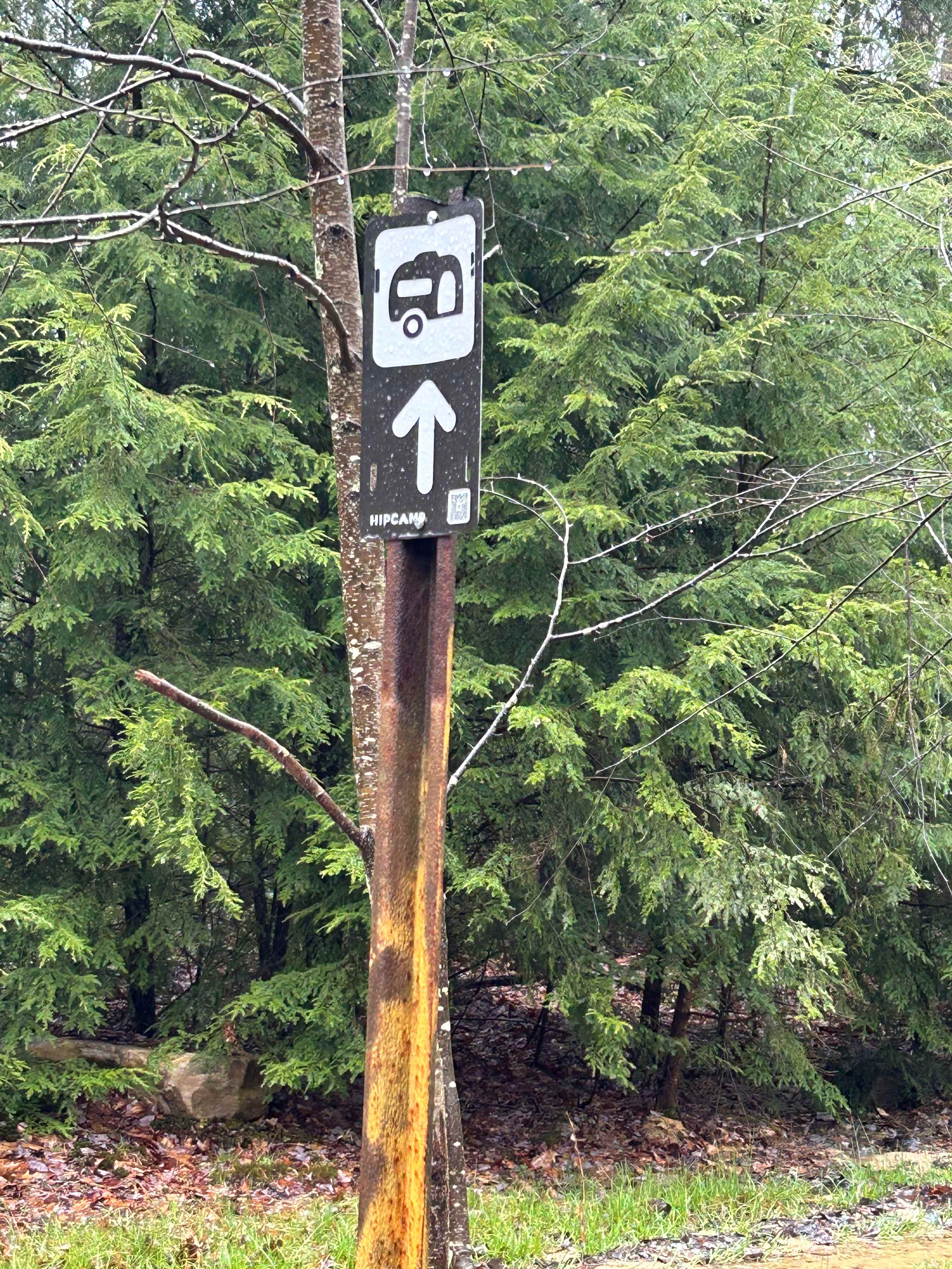 Clear Creek Cook Forest Campsite