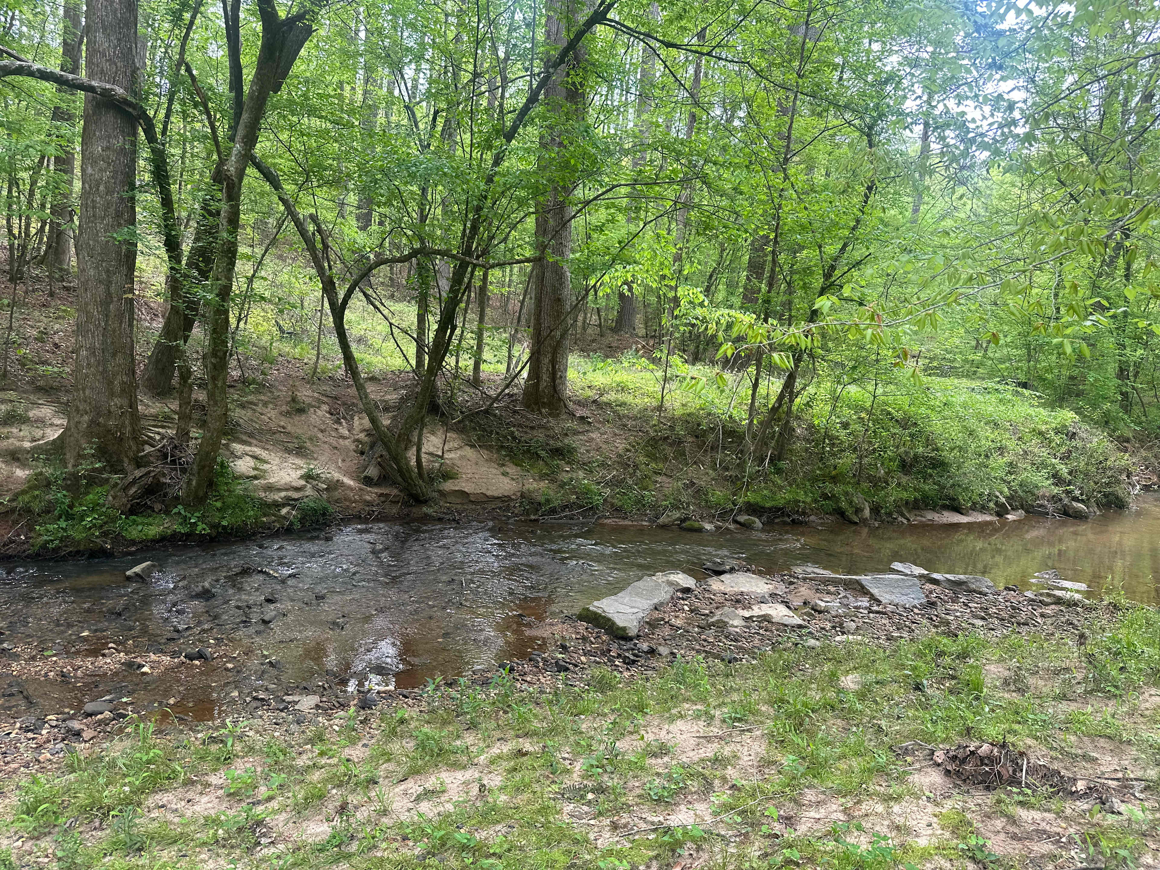 Coyote Creek