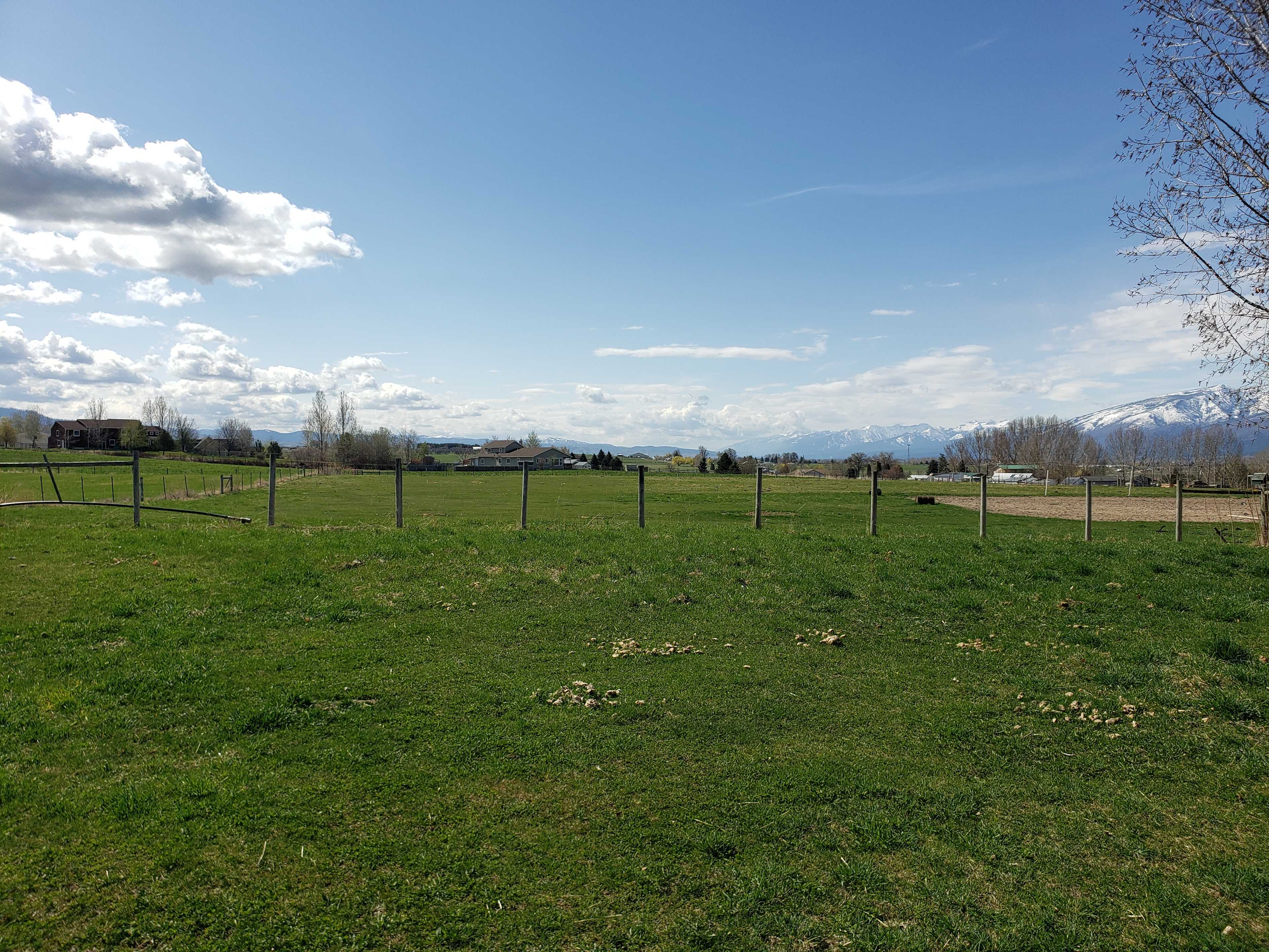 Bitterroot Farm Camping