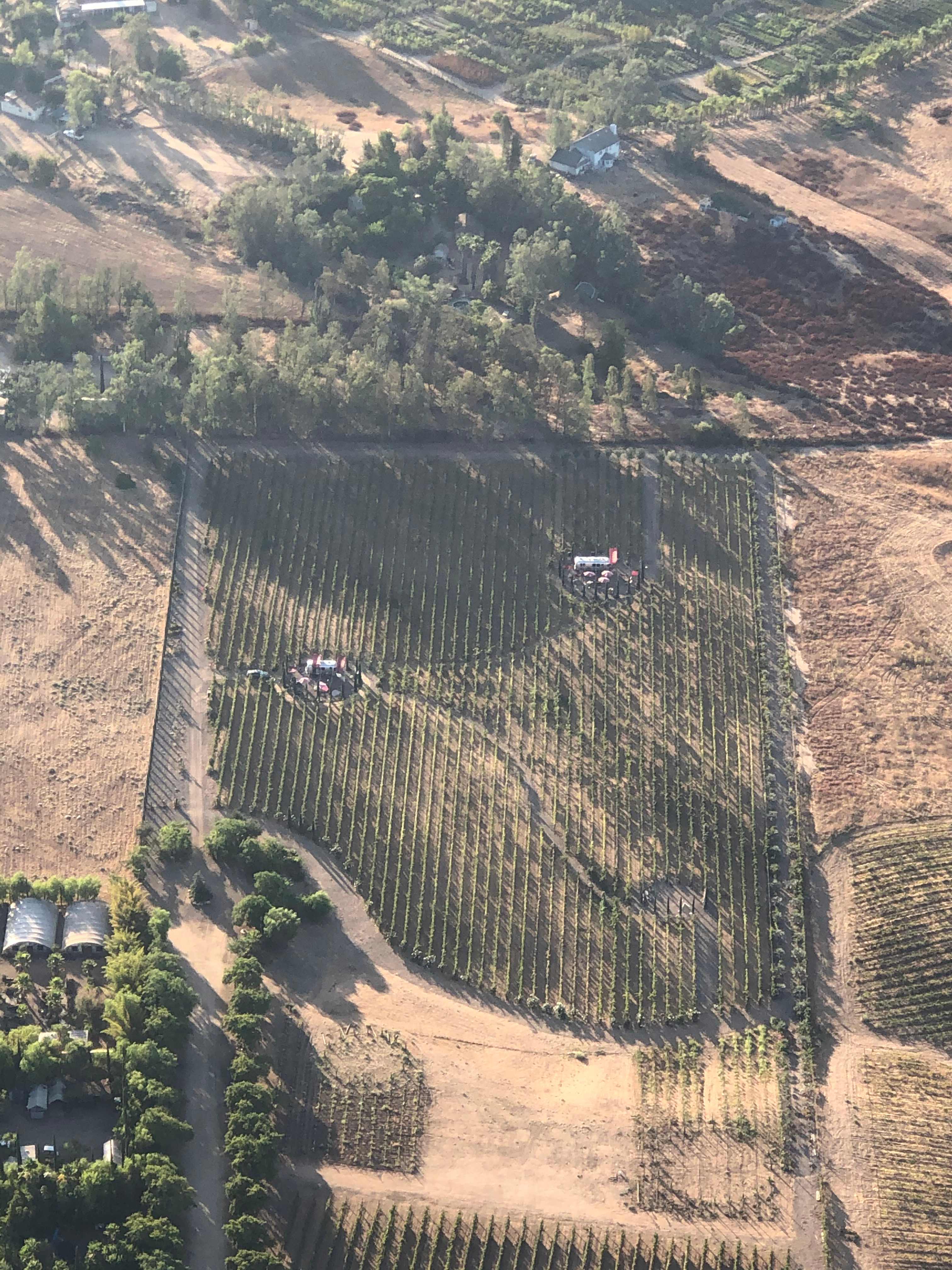 Dos Fernandos' Hideaway RV vineyard