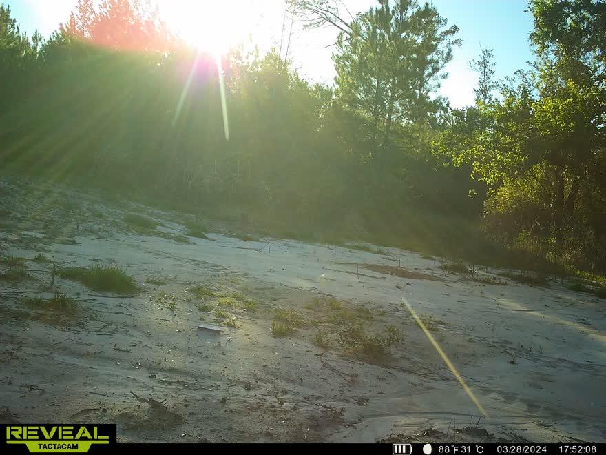 Liberty Creek Getaway