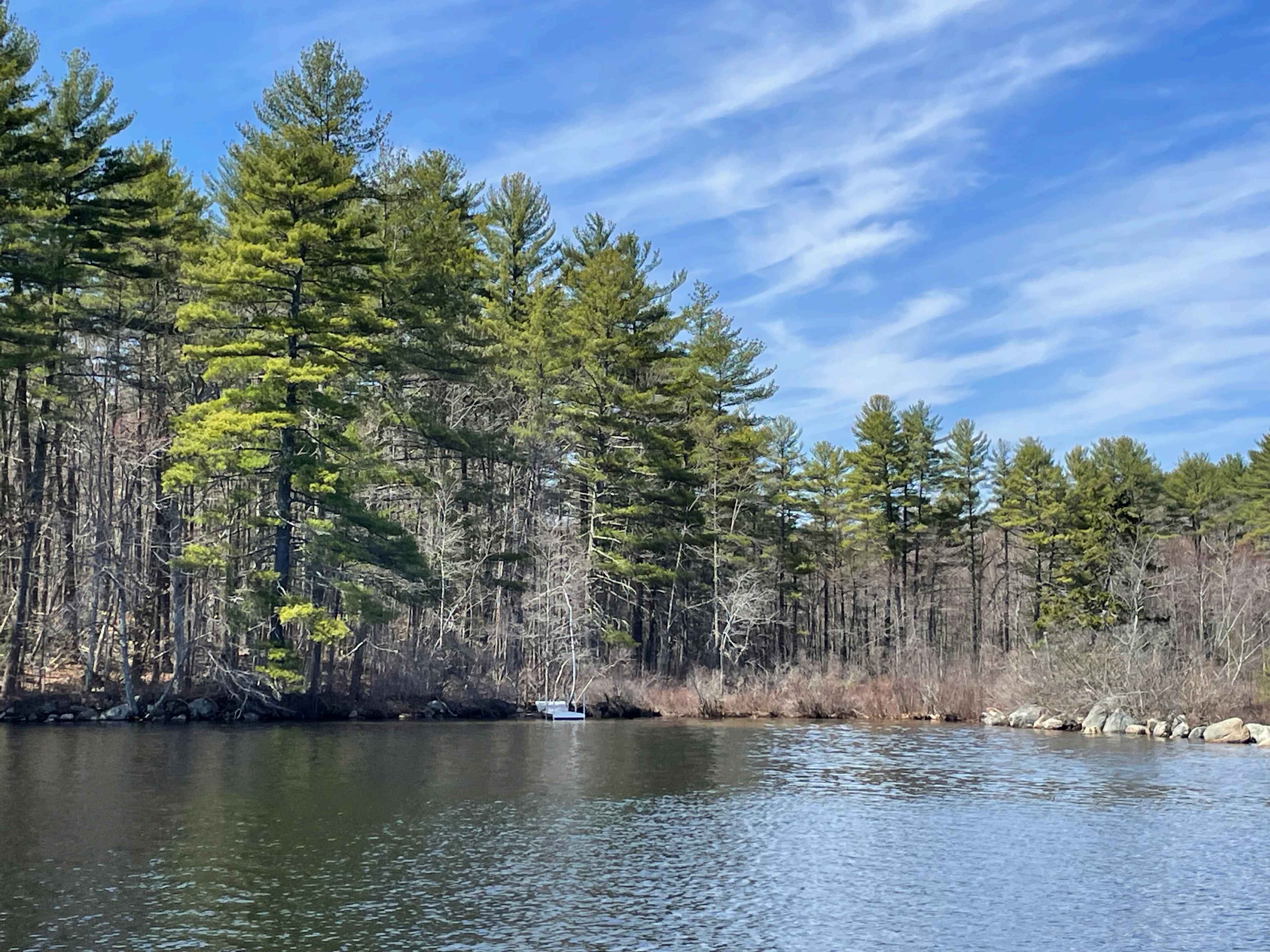 Swimming cove and dock.  The Queen's Property's secluded cove on Thomas Pond with gently sloping sandy bottom. 