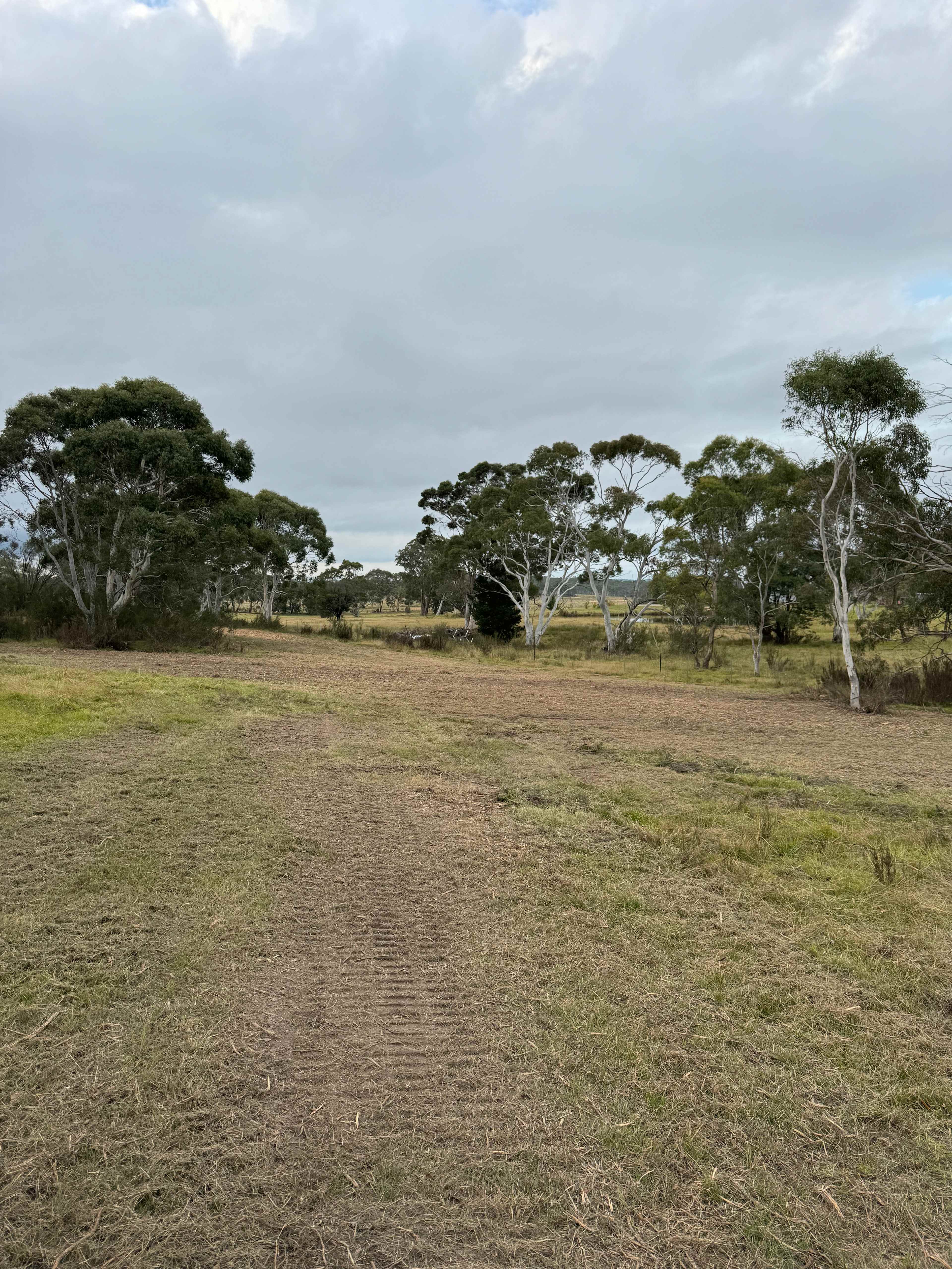 Bombay Bush Cabin and Camping