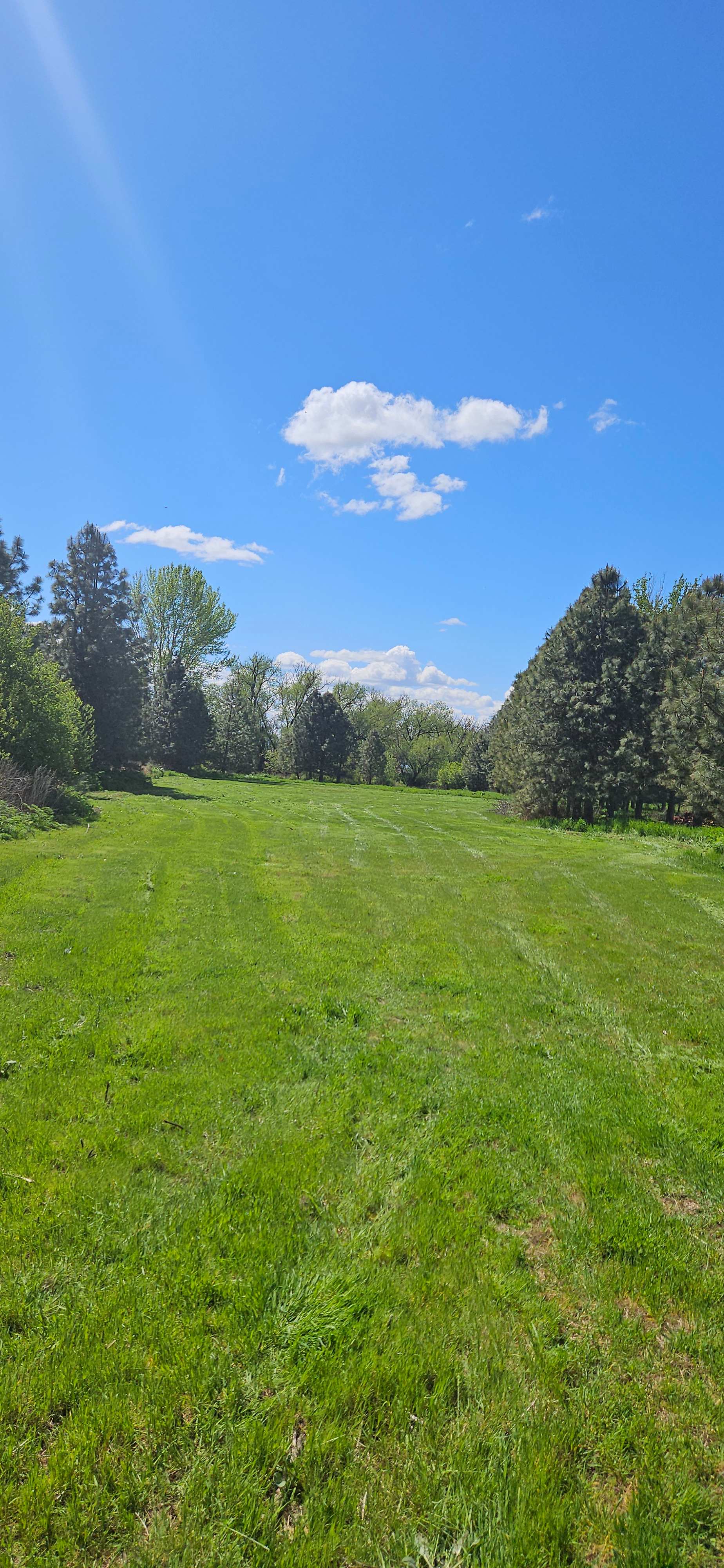 Mill Creek Farm/Park