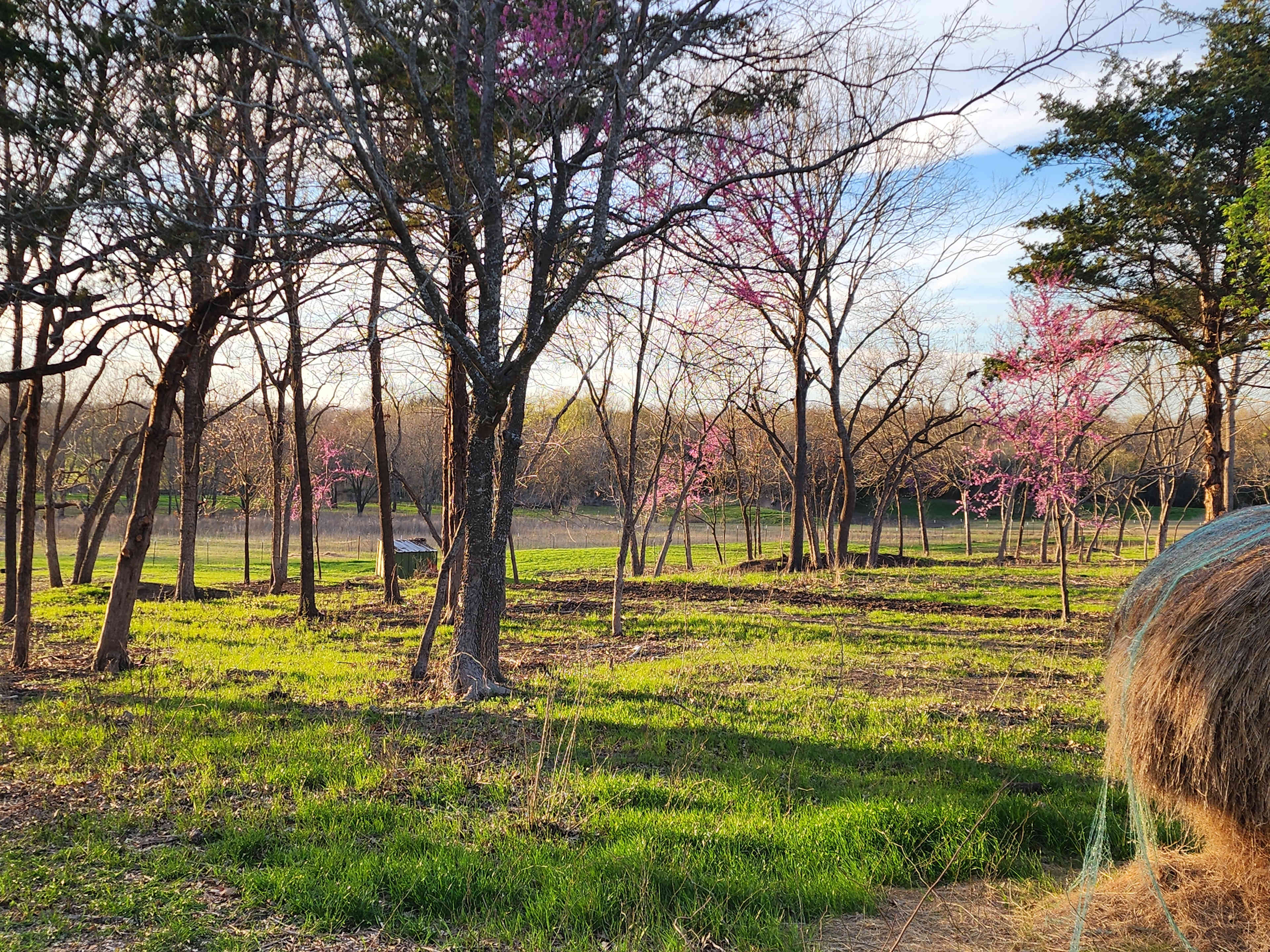 The PARK at Brushy Creek
