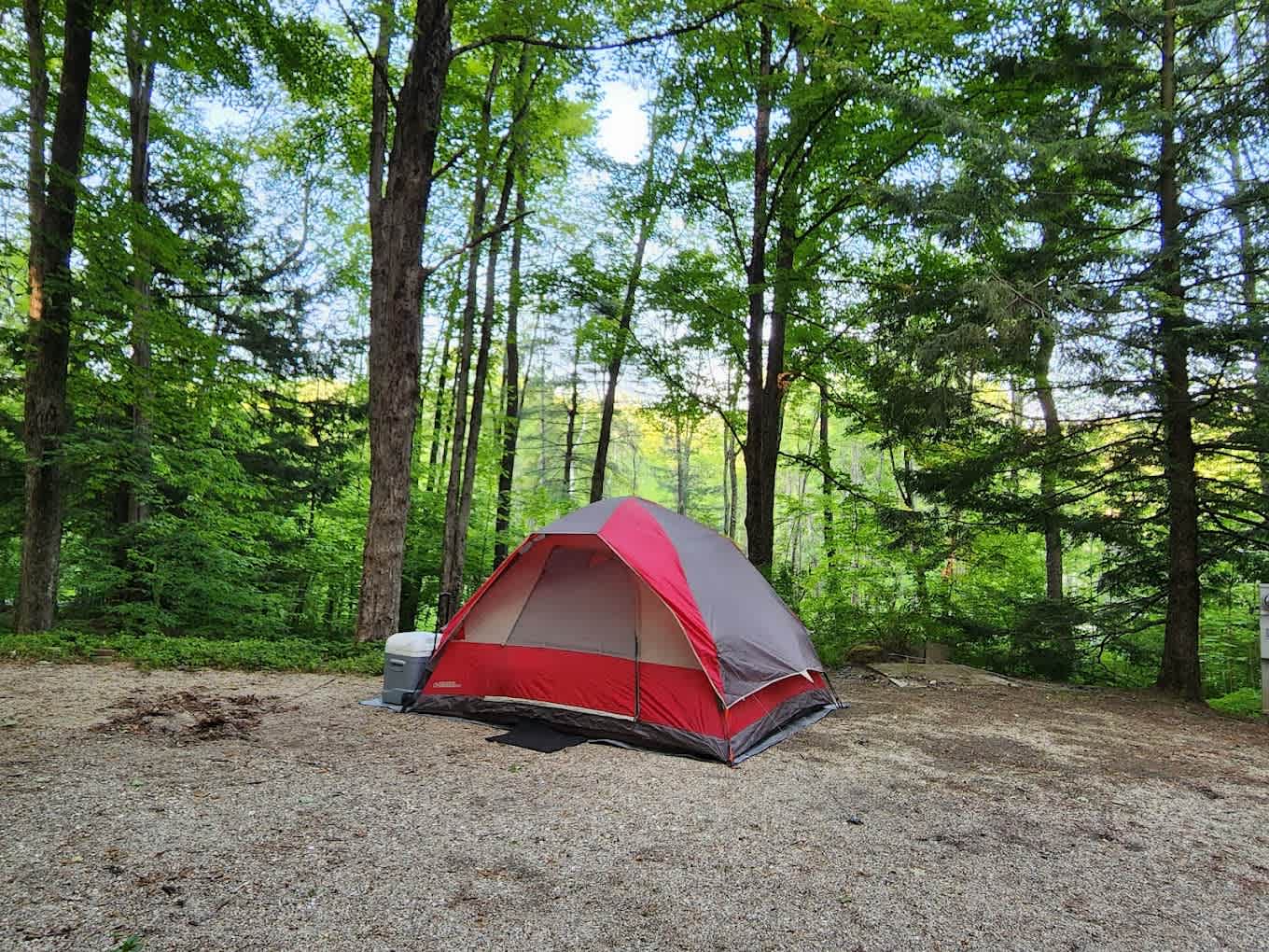 MT Greylock Campsite Park
